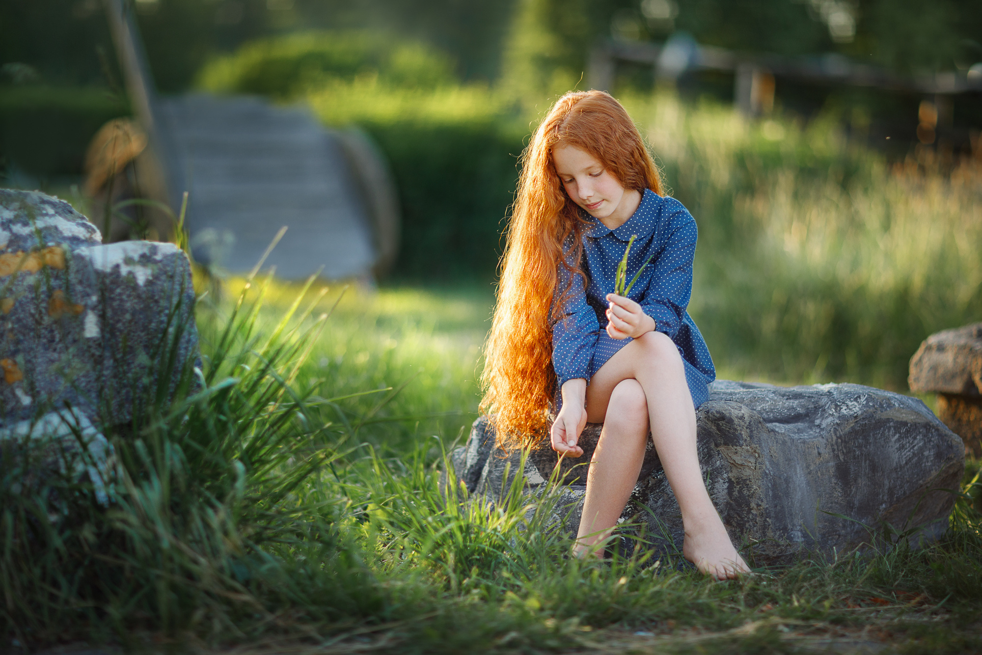 Портфолио (вебинар). Наталья Рапопорт. Онлайн-курсы по фотографии и съемке видео