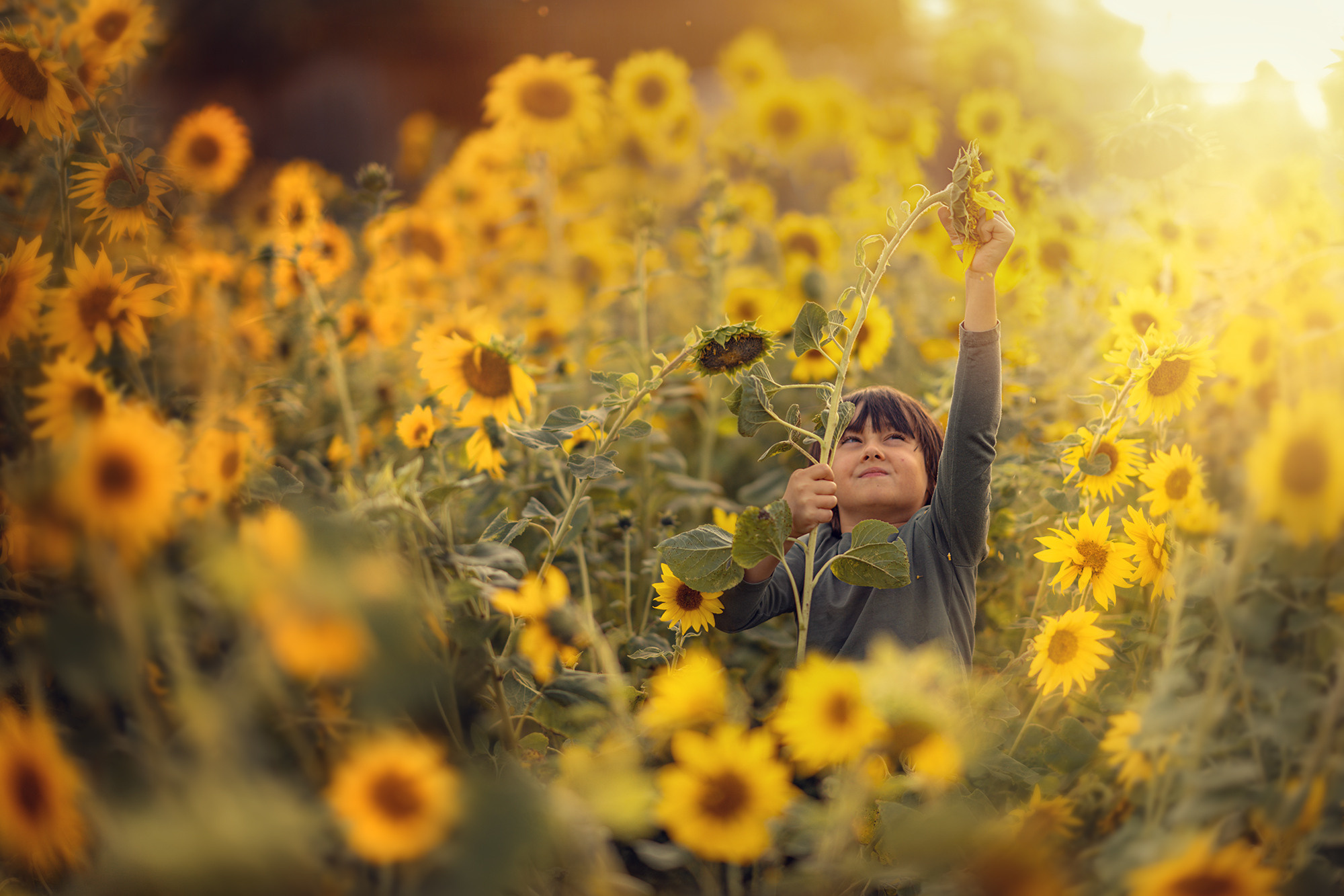 Портфолио (вебинар). Наталья Рапопорт. Онлайн-курсы по фотографии и съемке видео