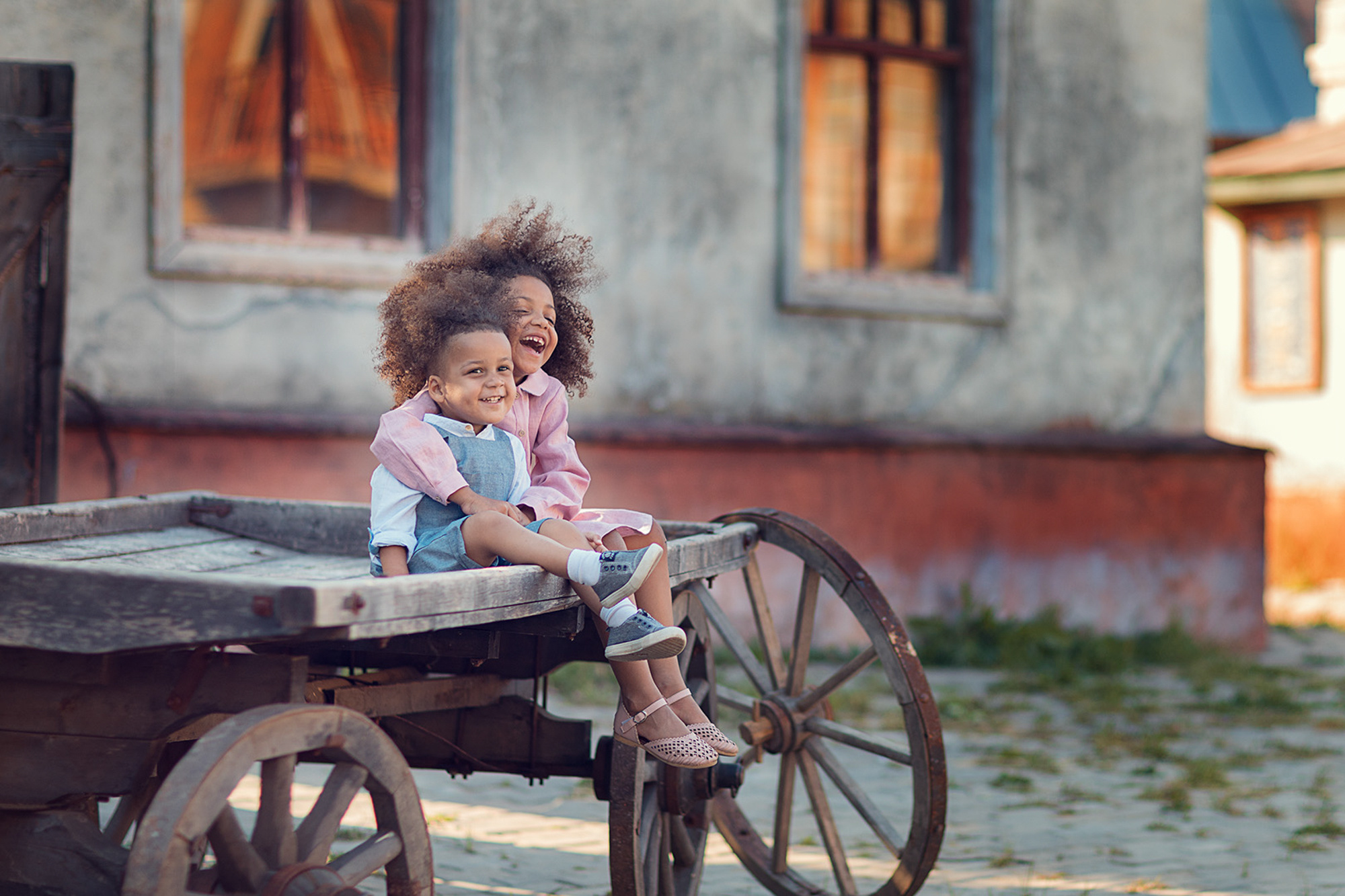 Портфолио (курс). Наталья Рапопорт. Онлайн-курсы по фотографии и съемке видео