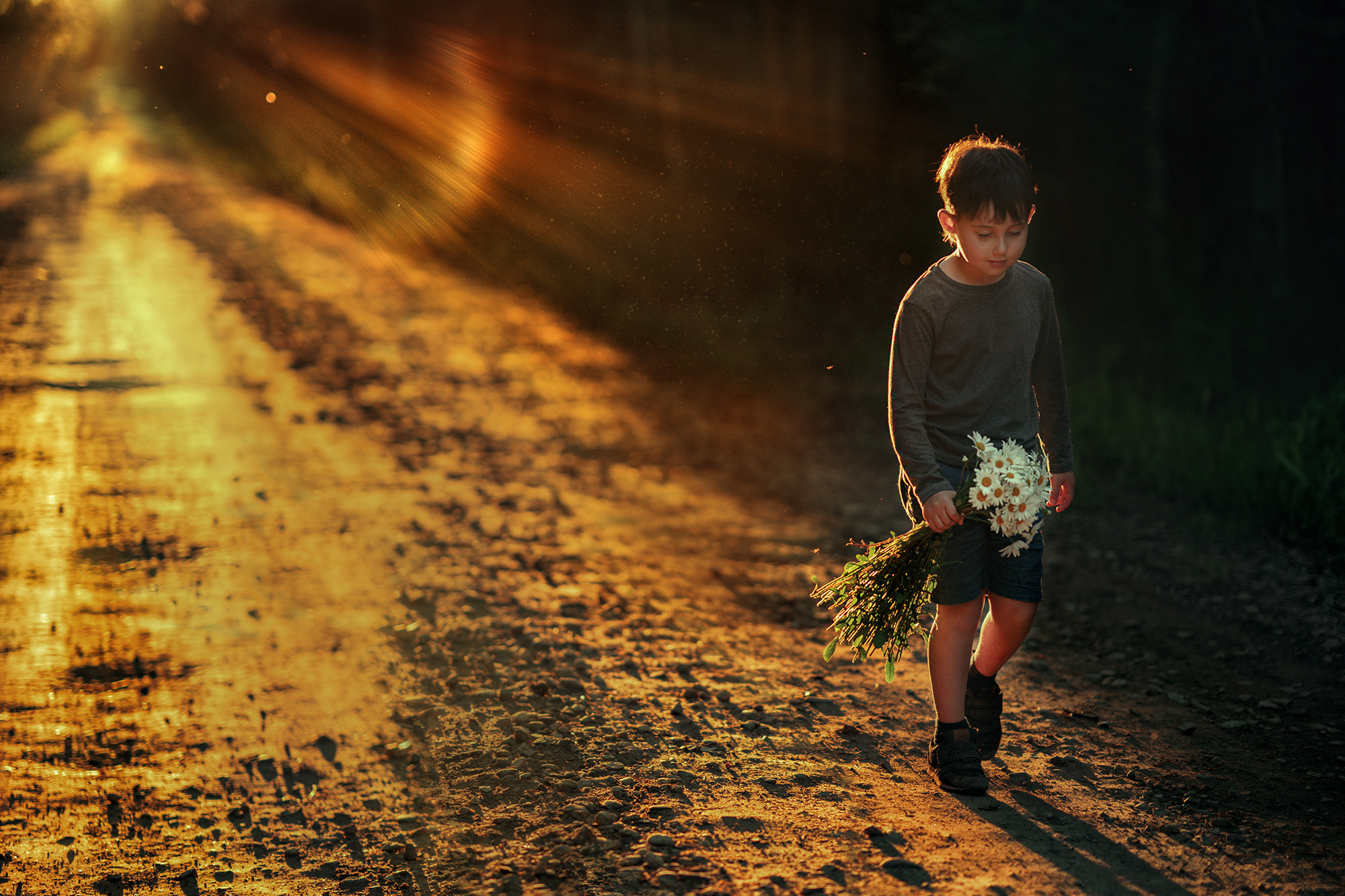 Портфолио (курс). Наталья Рапопорт. Онлайн-курсы по фотографии и съемке видео