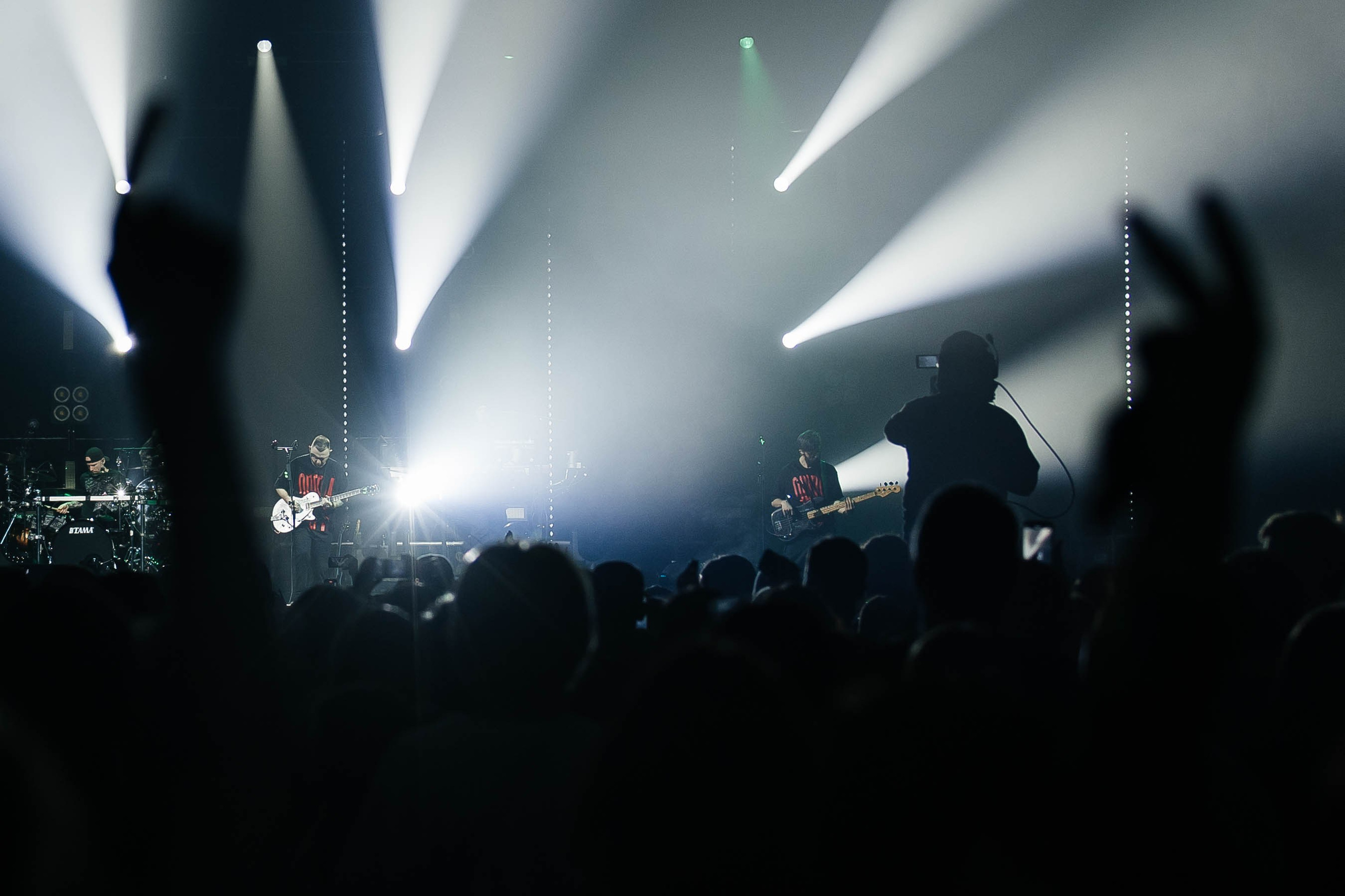 Звери. _Carpe diem_