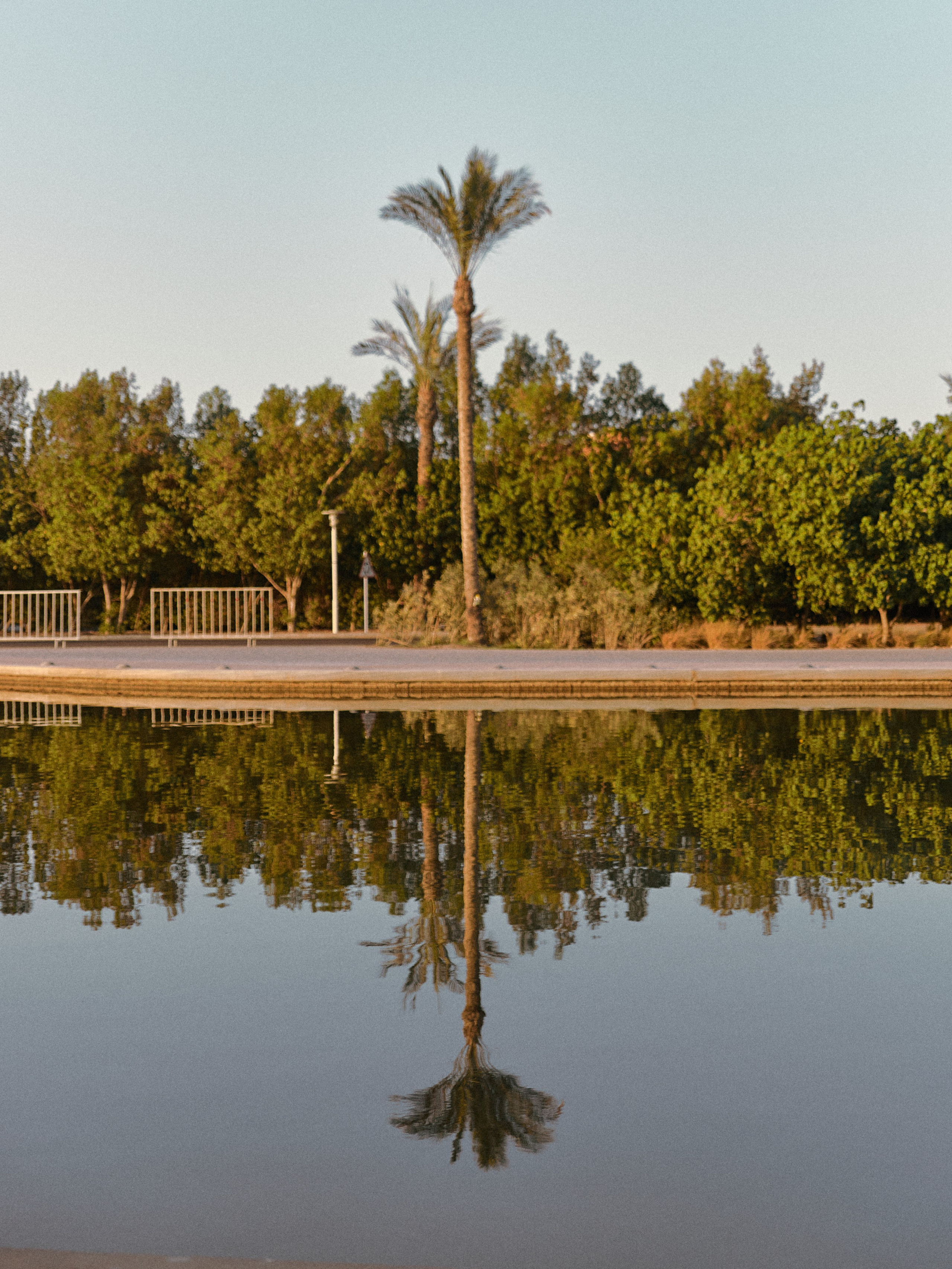 Природа сквозь. Jorgis Talè — photographer, kind person, teacher of arts and other mag