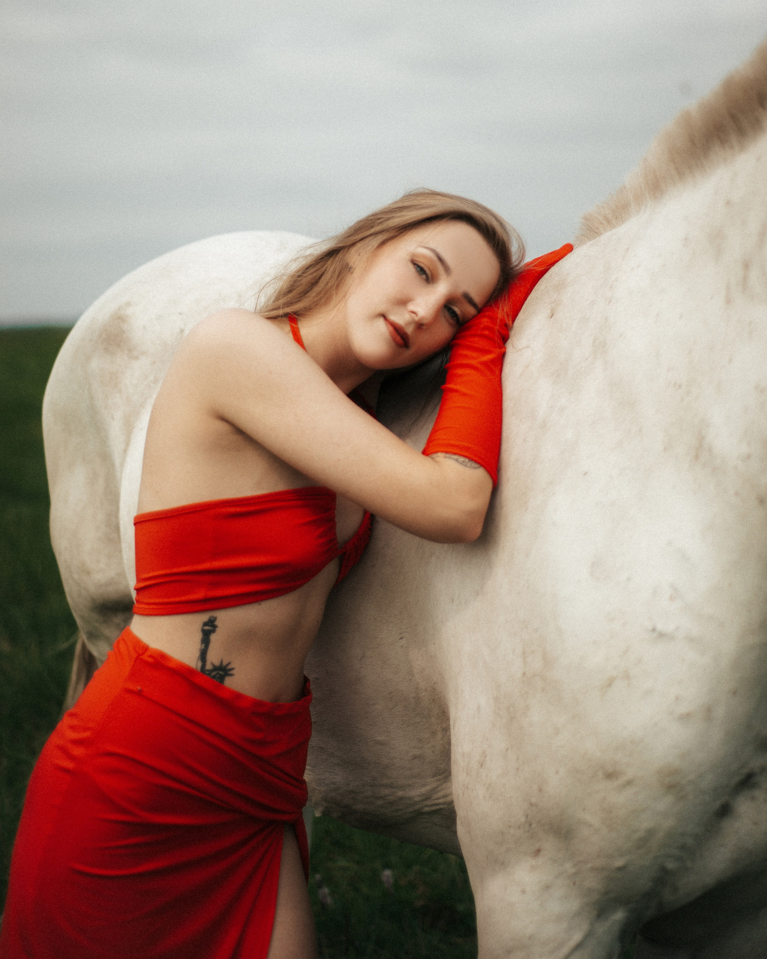 Horse. Фотограф