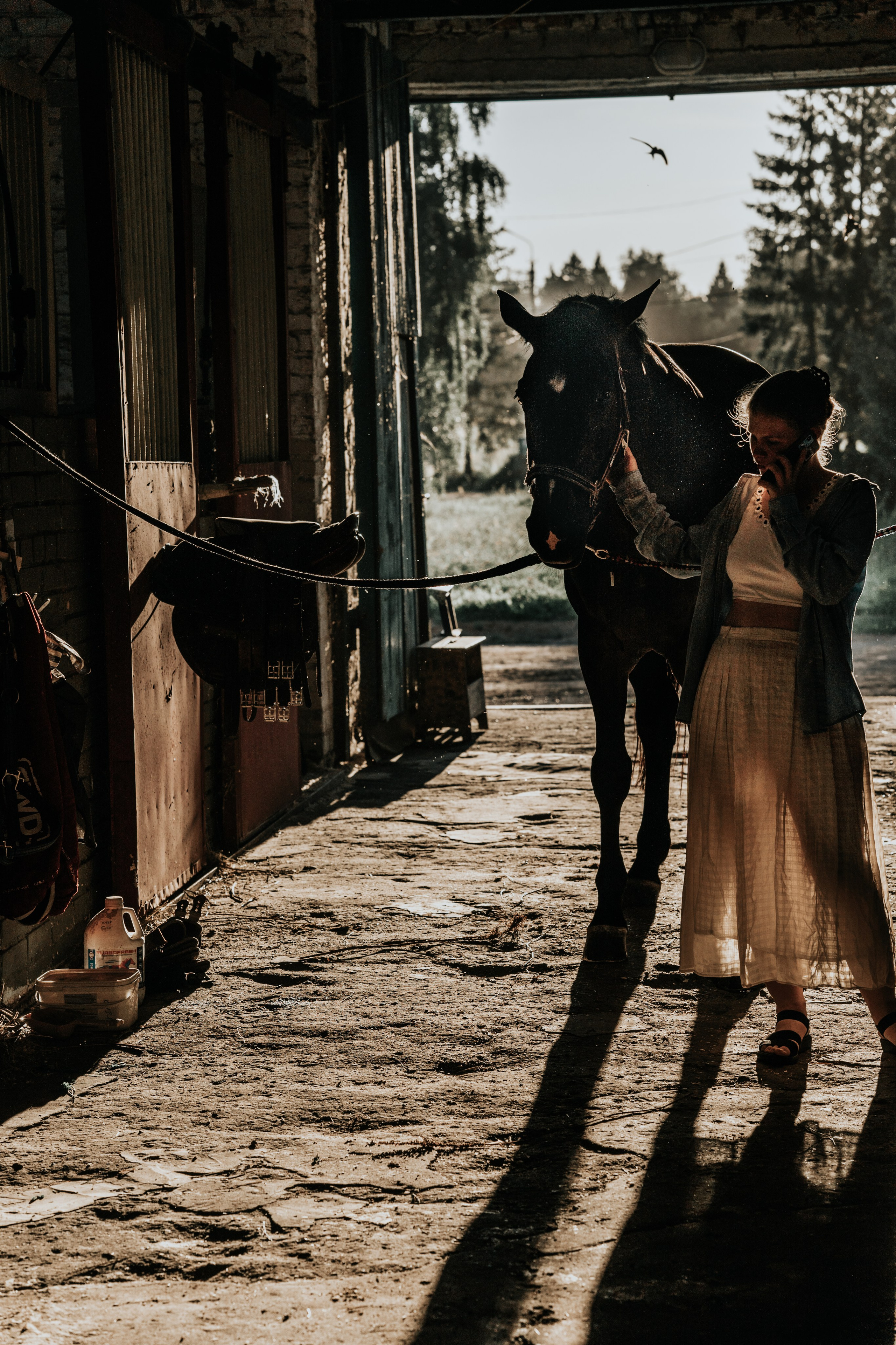 Лошади. Юлия Строганова. Фотограф. Москва