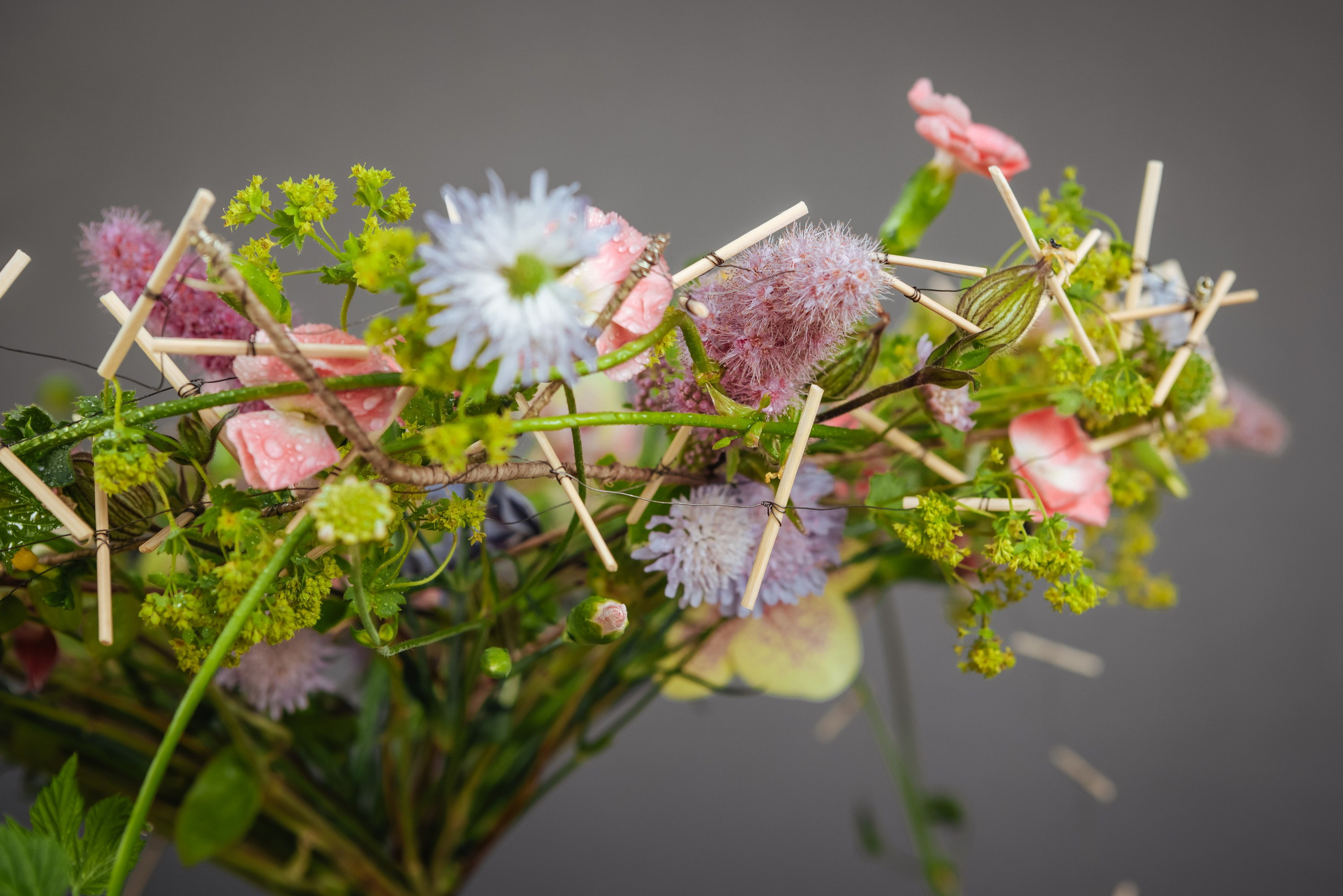 Флористика