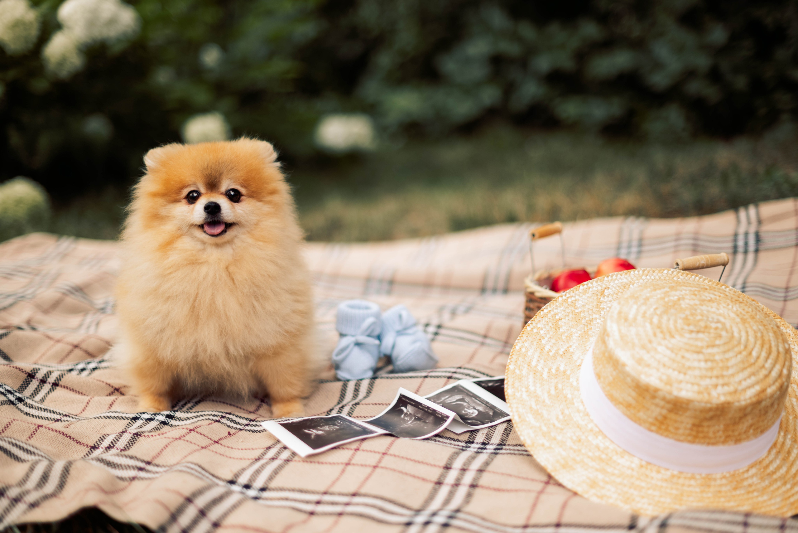 Виктория и Сергей. Семейный и детский фотограф в Щелково Алена Дробот
