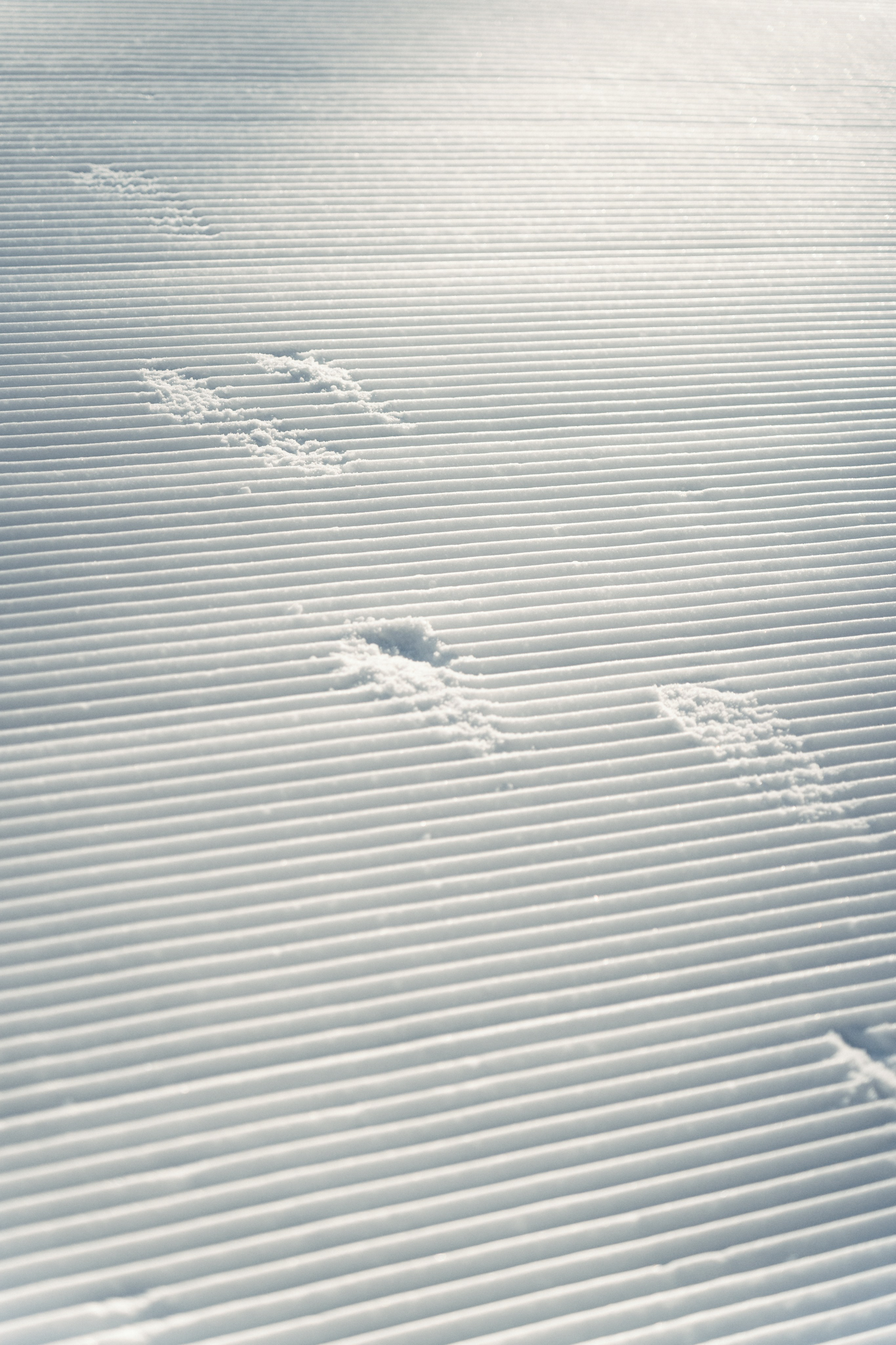 Роза Хутор. Свадебный фотограф в Краснодаре и Сочи Винидиктова Екатерина