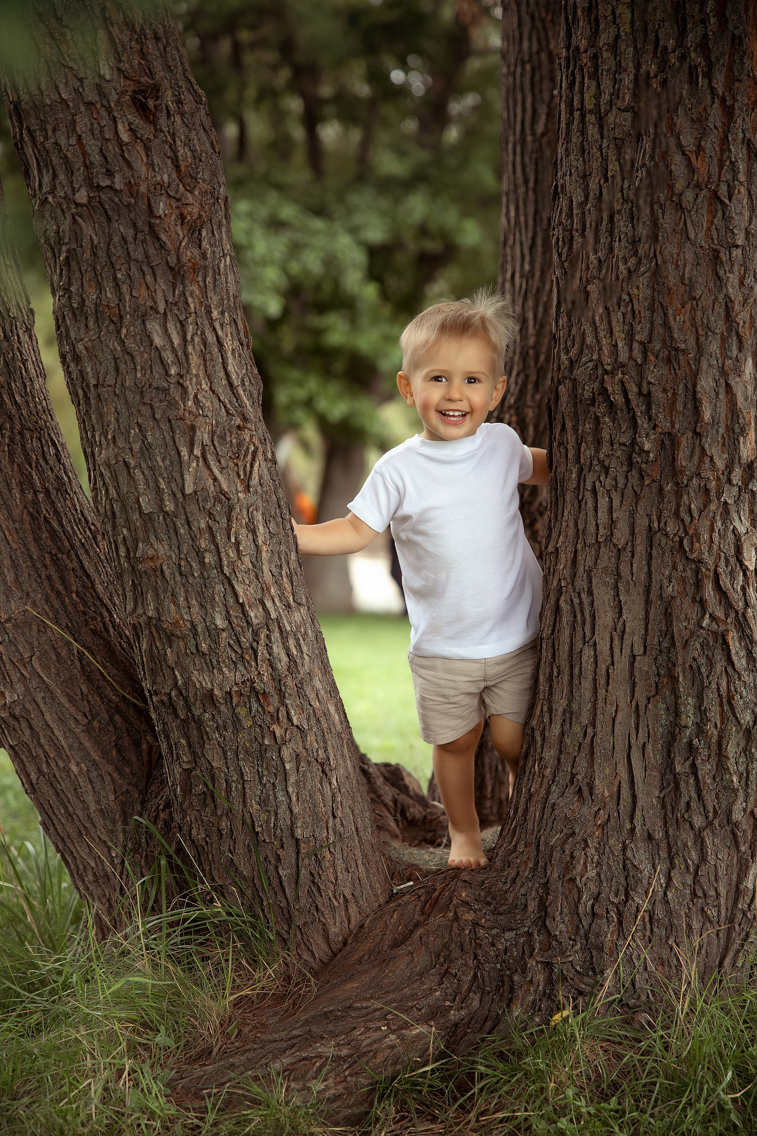Детки парк Дельфин. Фотограф на крещение и венчание