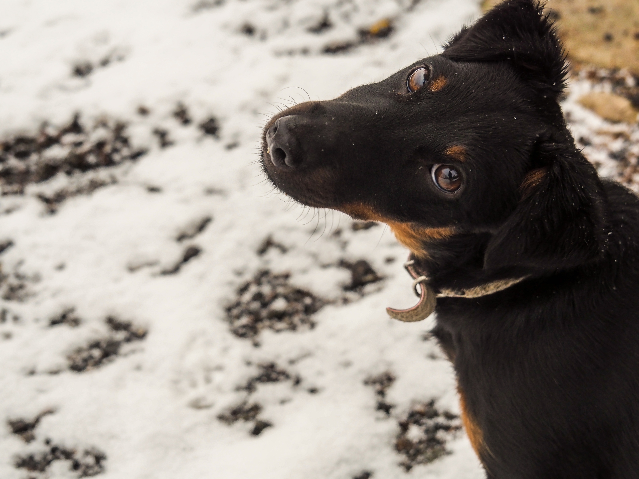 Not far from Moscow. Фотограф