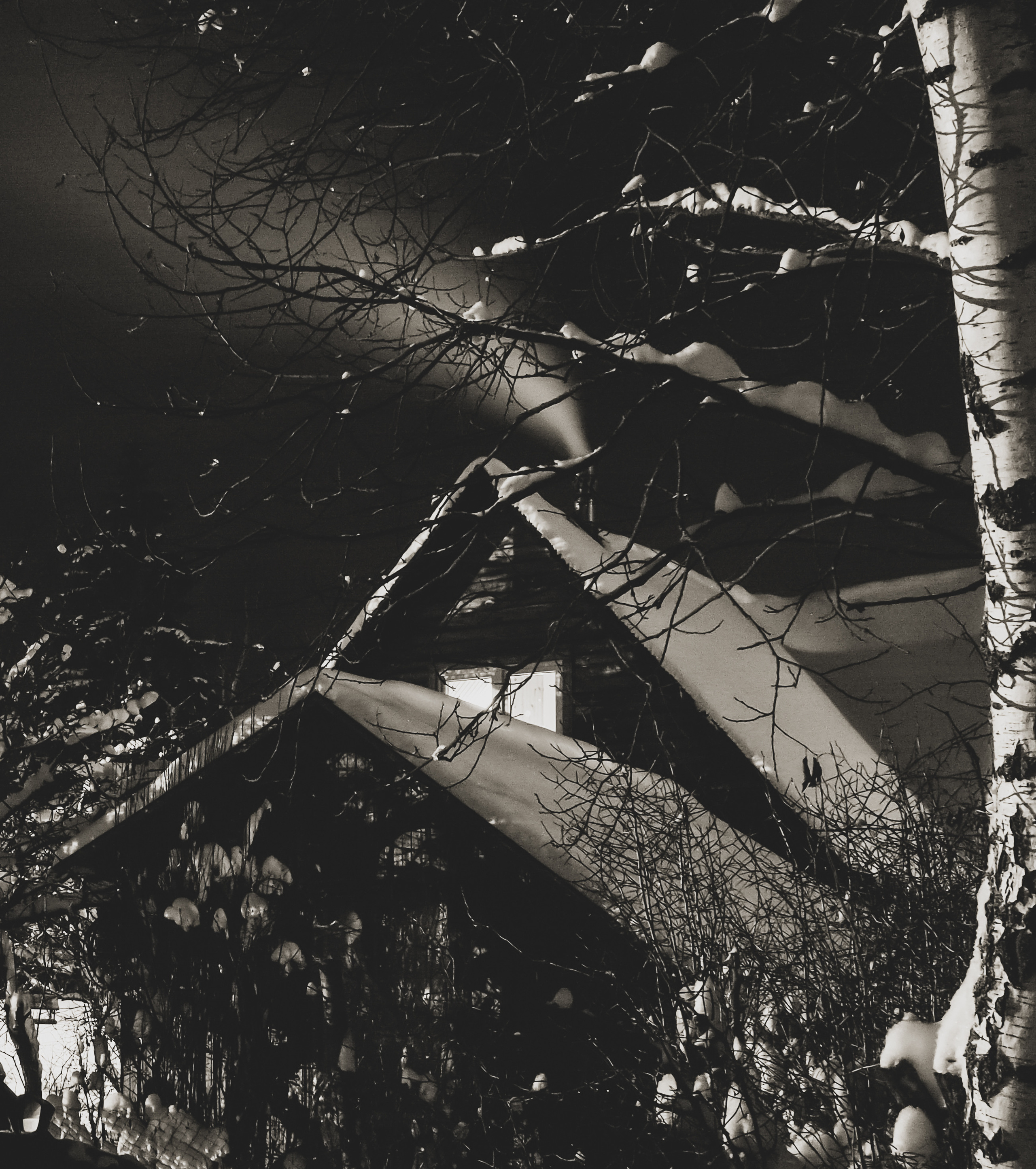 Black and white look. Фотограф