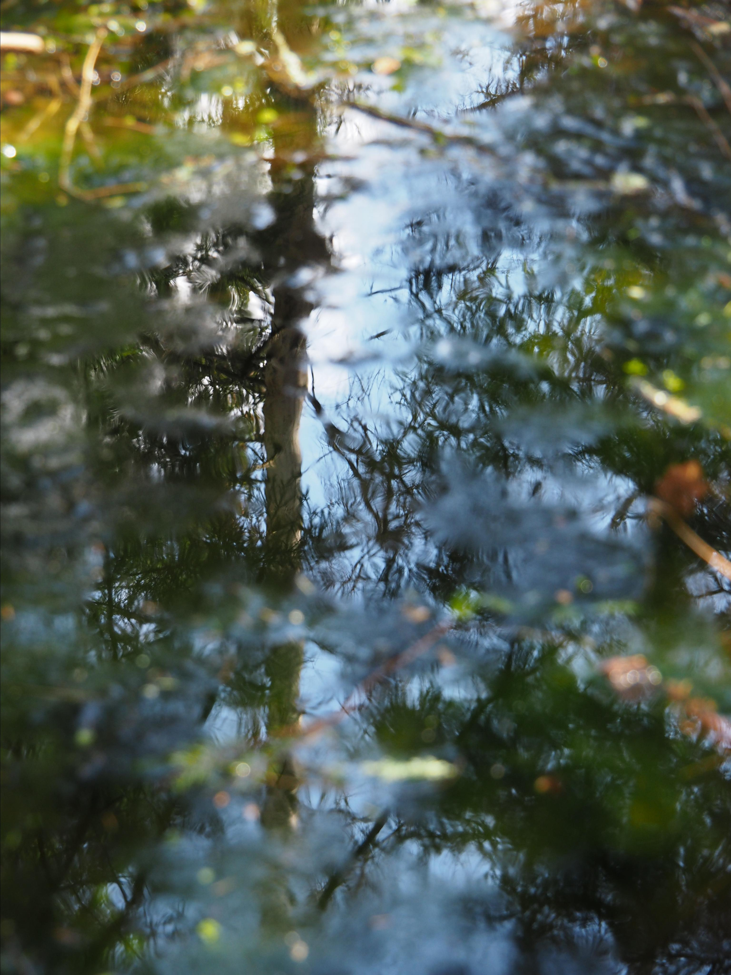 Not far from Moscow. Фотограф