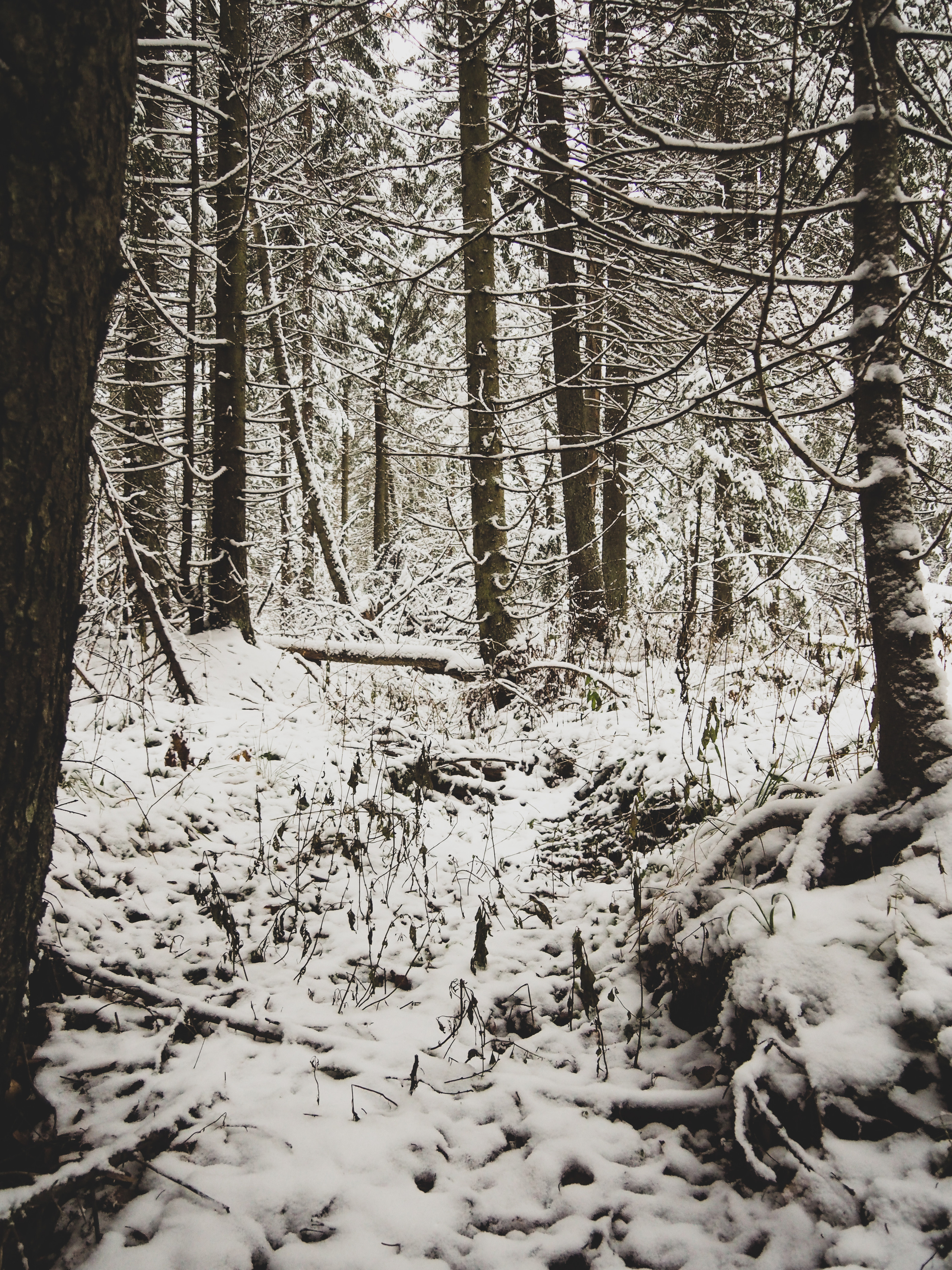Not far from Moscow. Фотограф