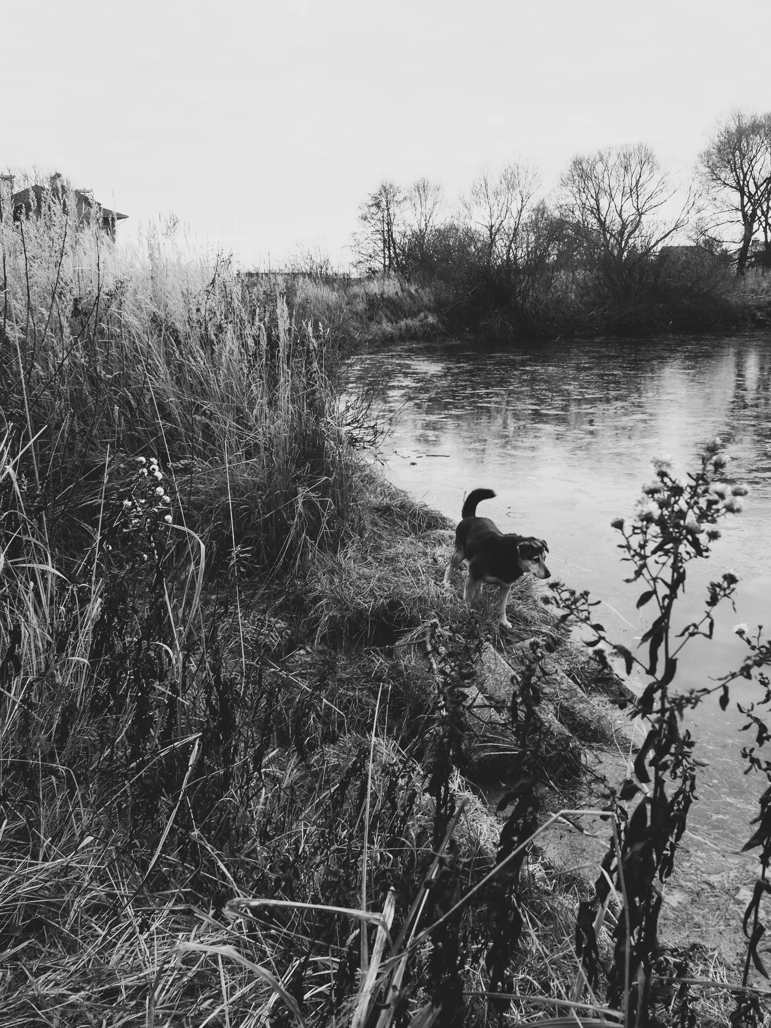 Black and white look. Фотограф