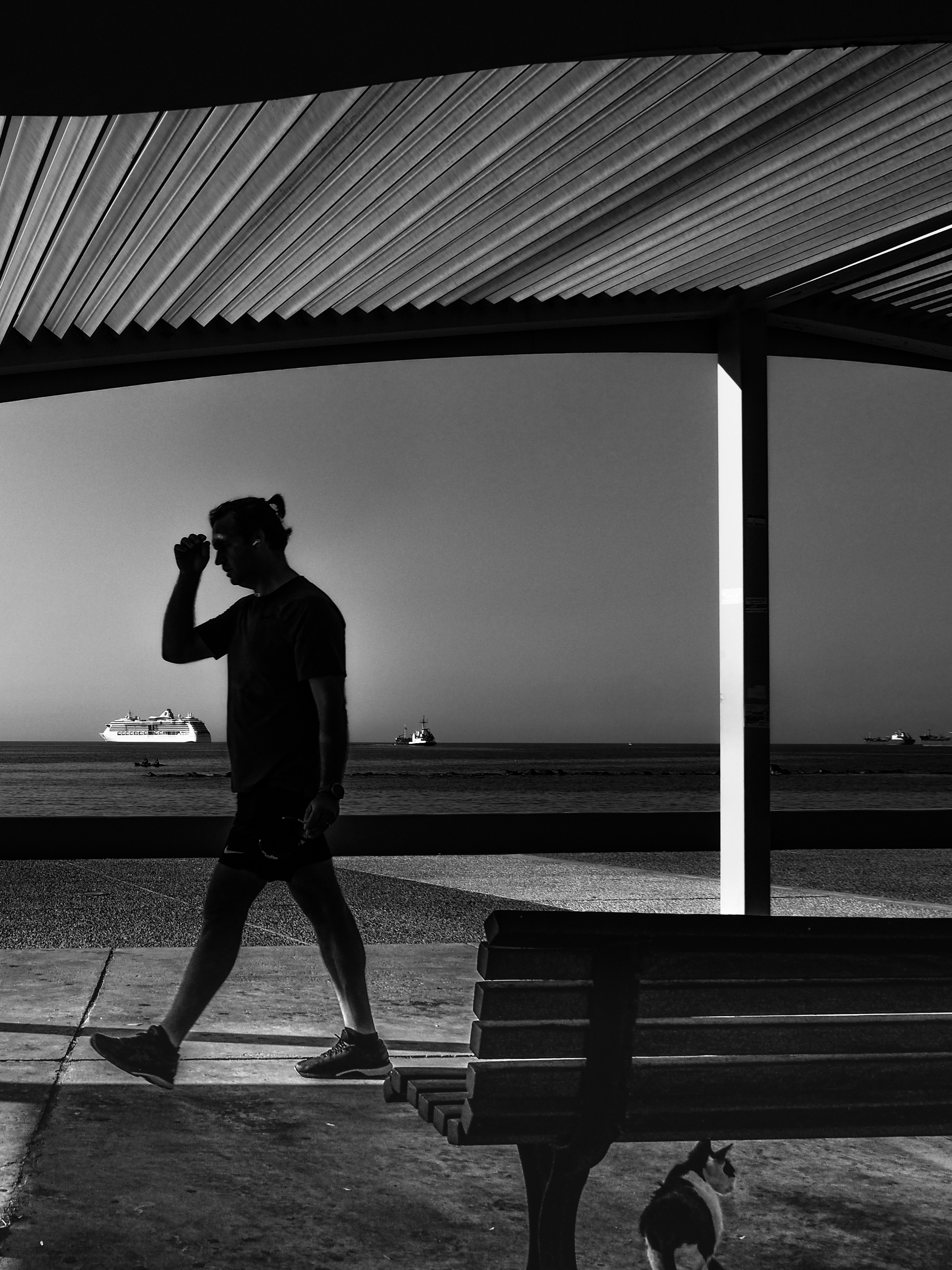 Black and white look. Фотограф