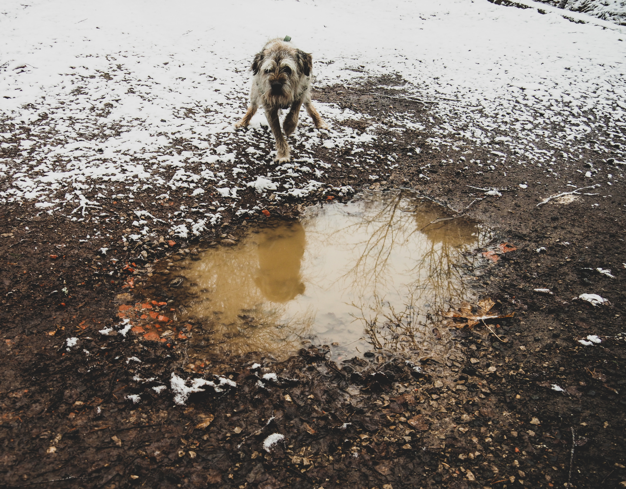 Not far from Moscow. Фотограф