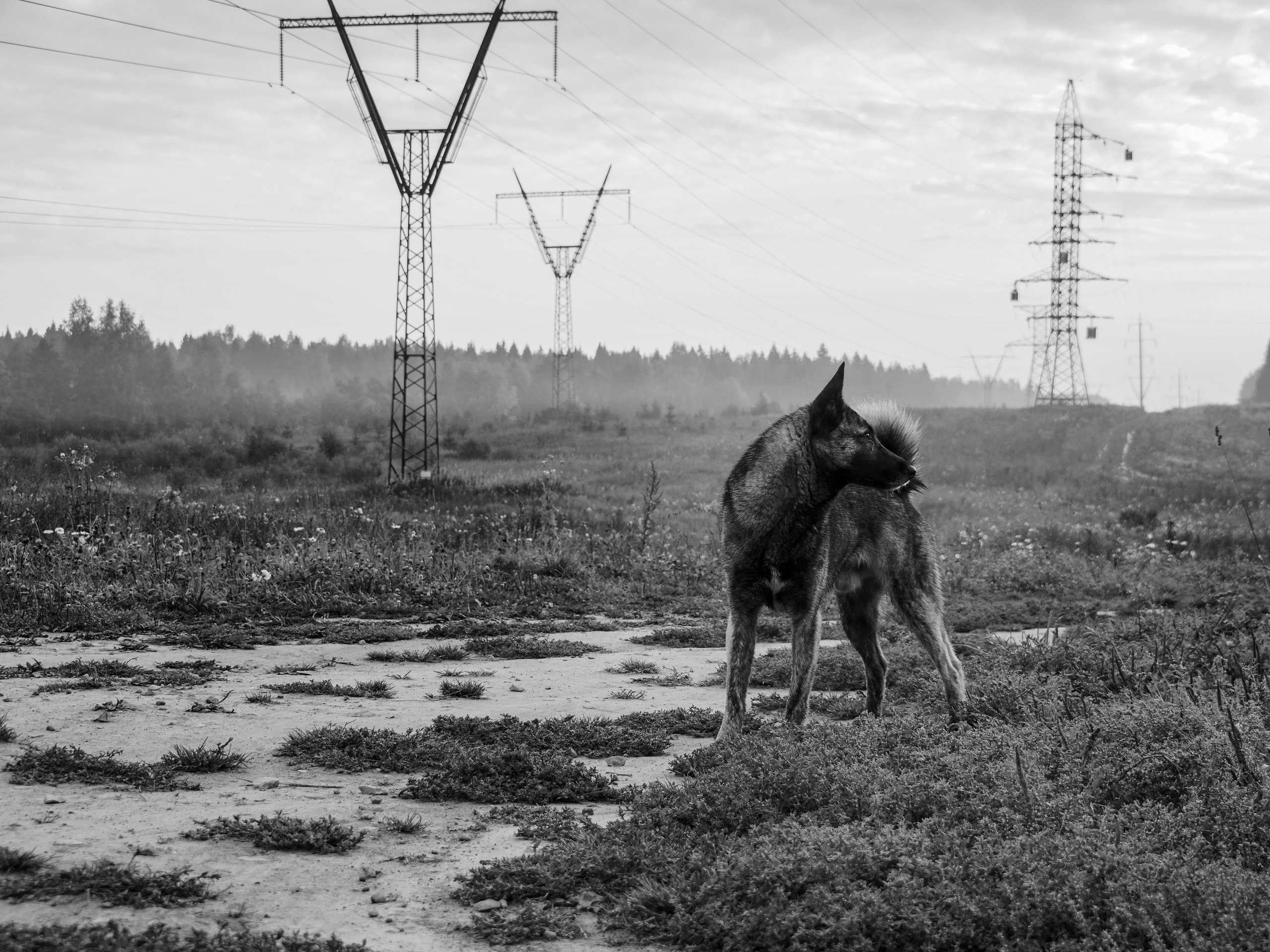 Not far from Moscow. Фотограф