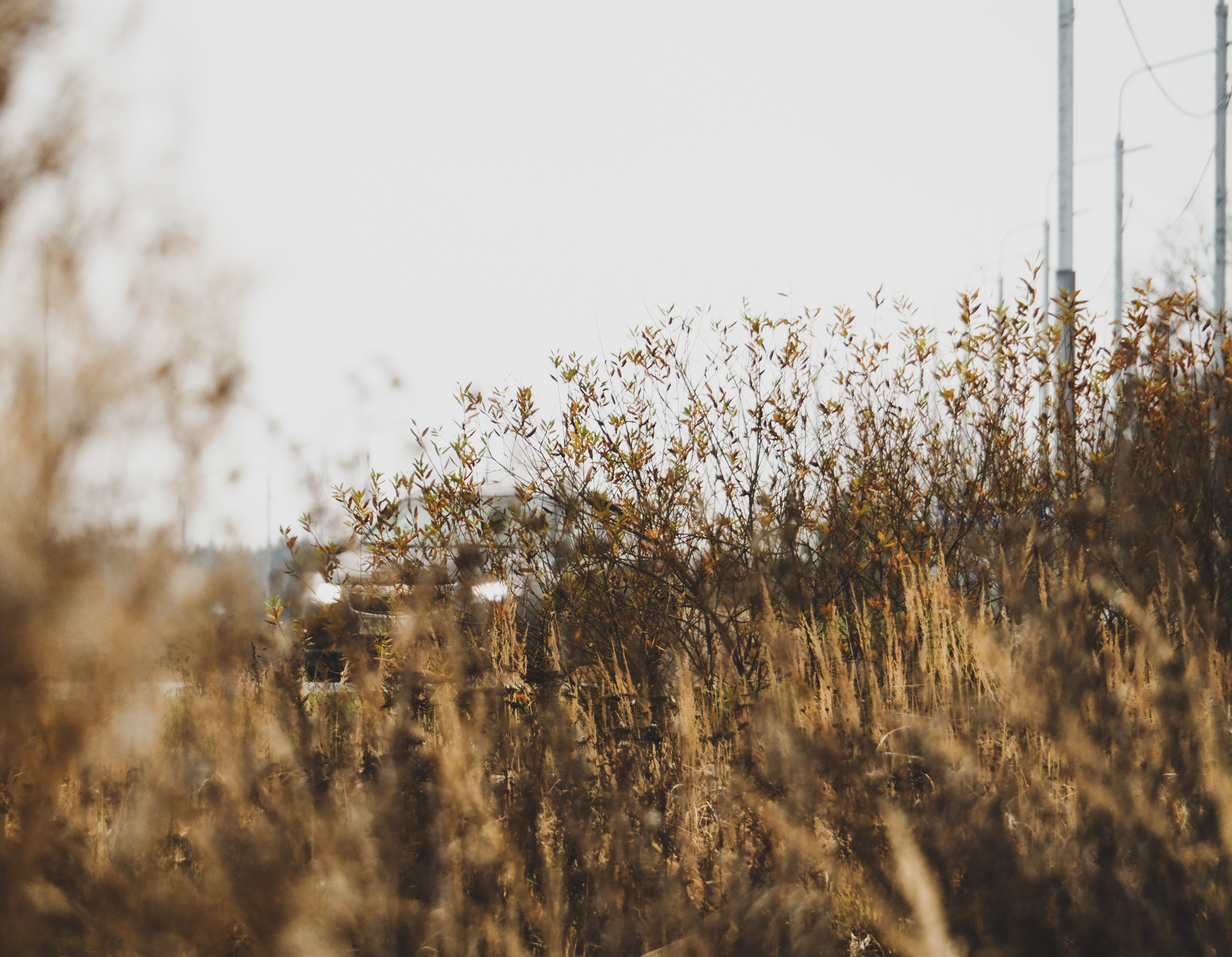 Not far from Moscow. Фотограф