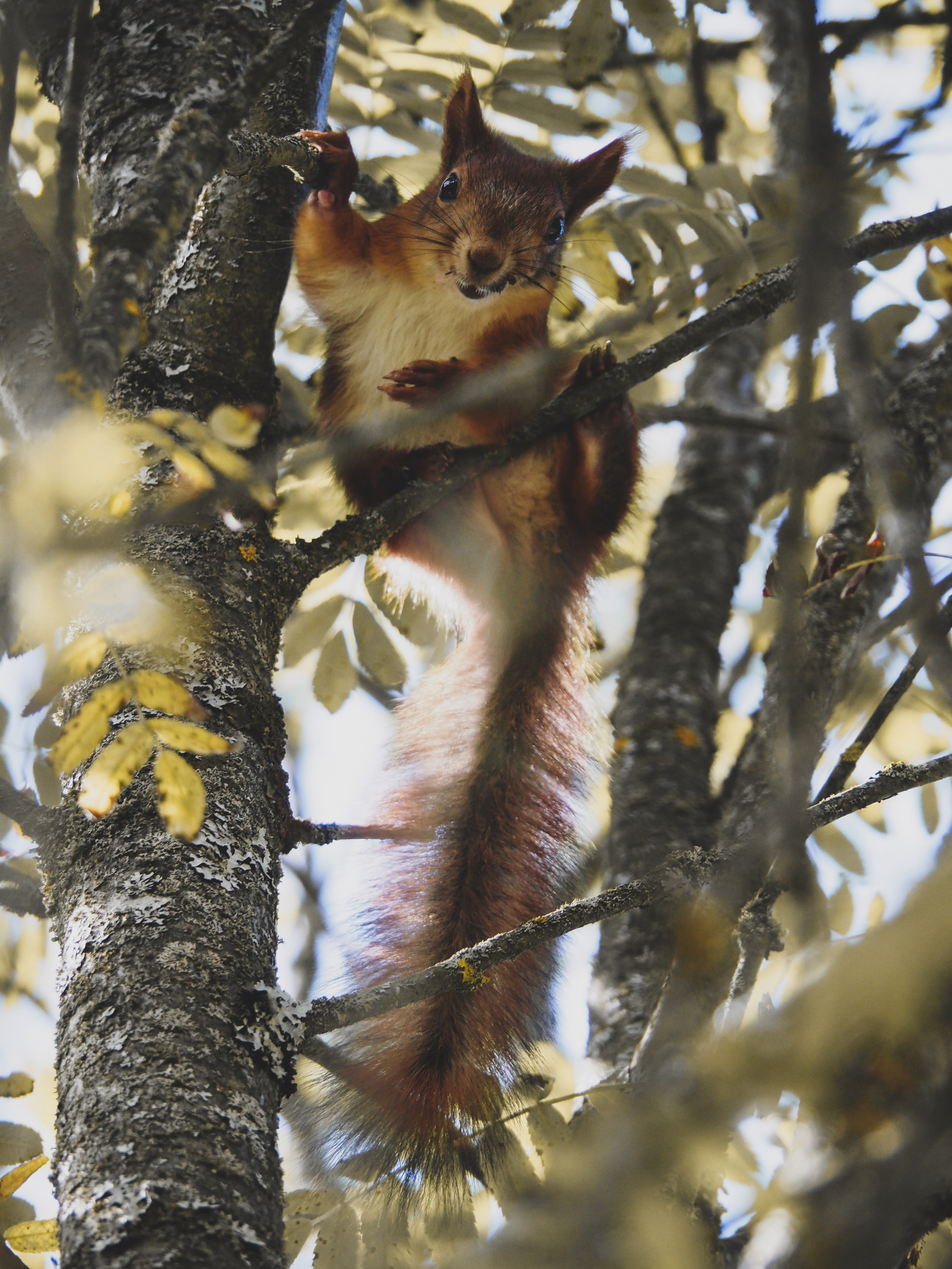 Not far from Moscow. Фотограф