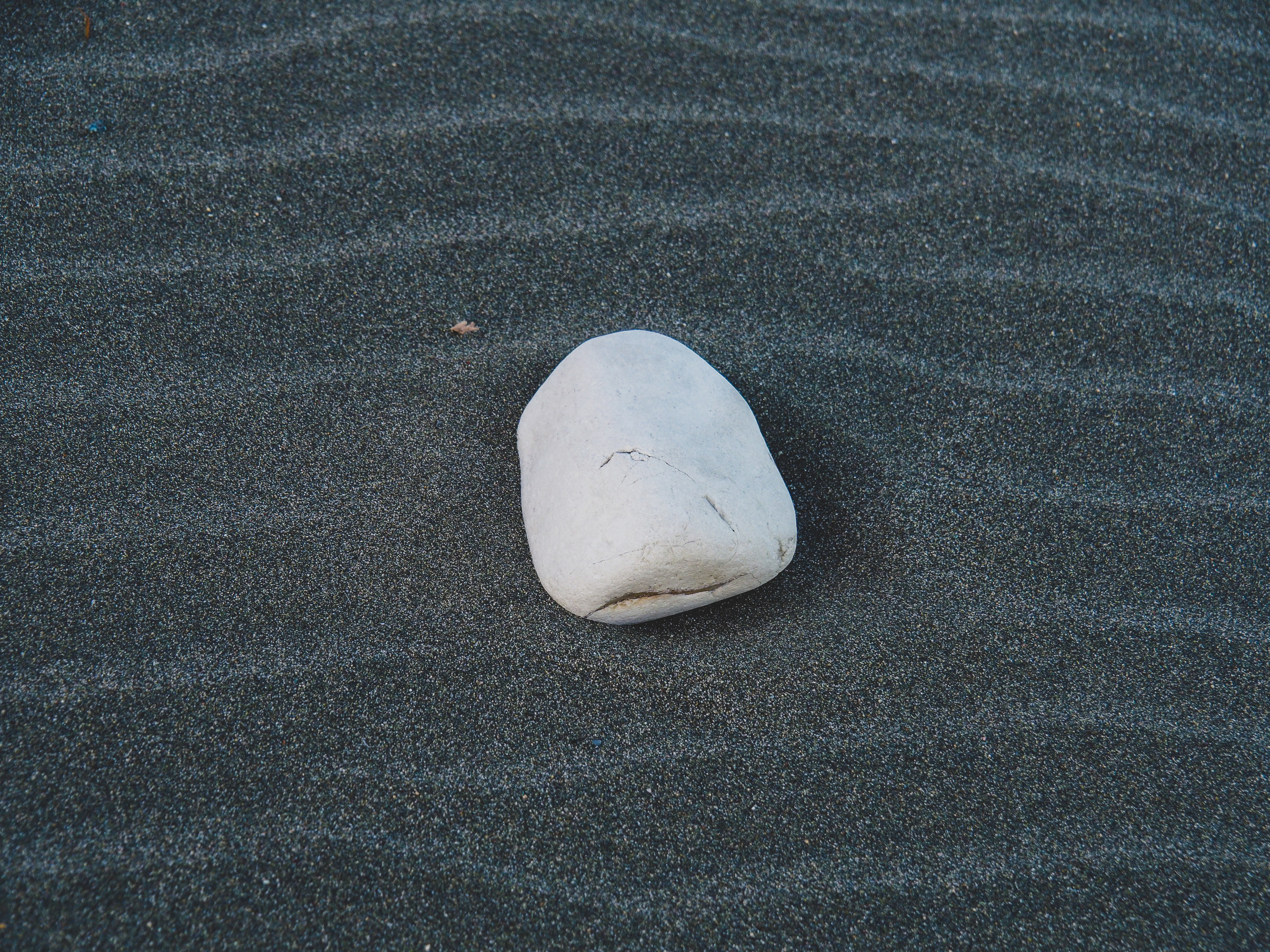 Black and white look. Фотограф