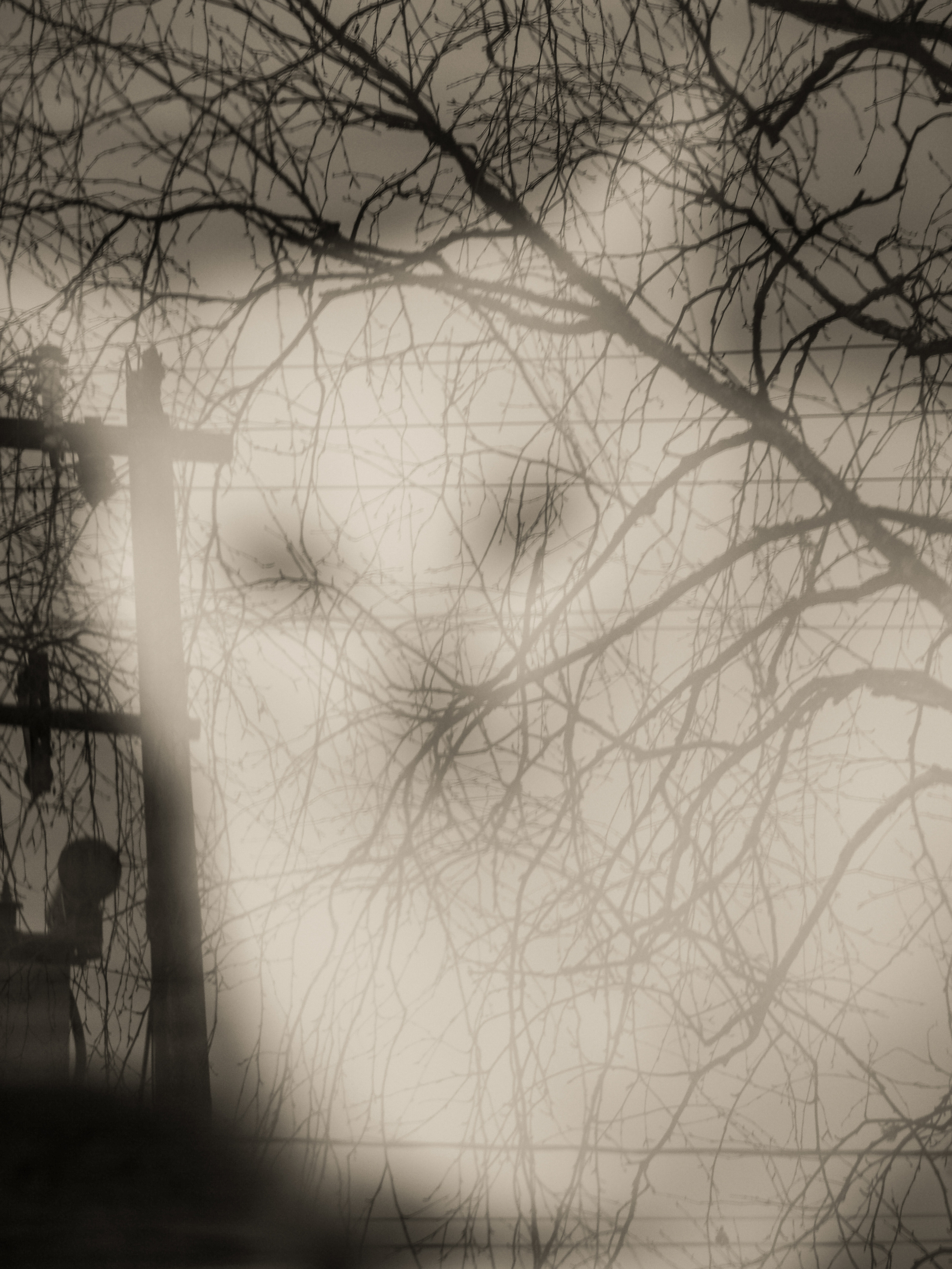 Not far from Moscow. Фотограф