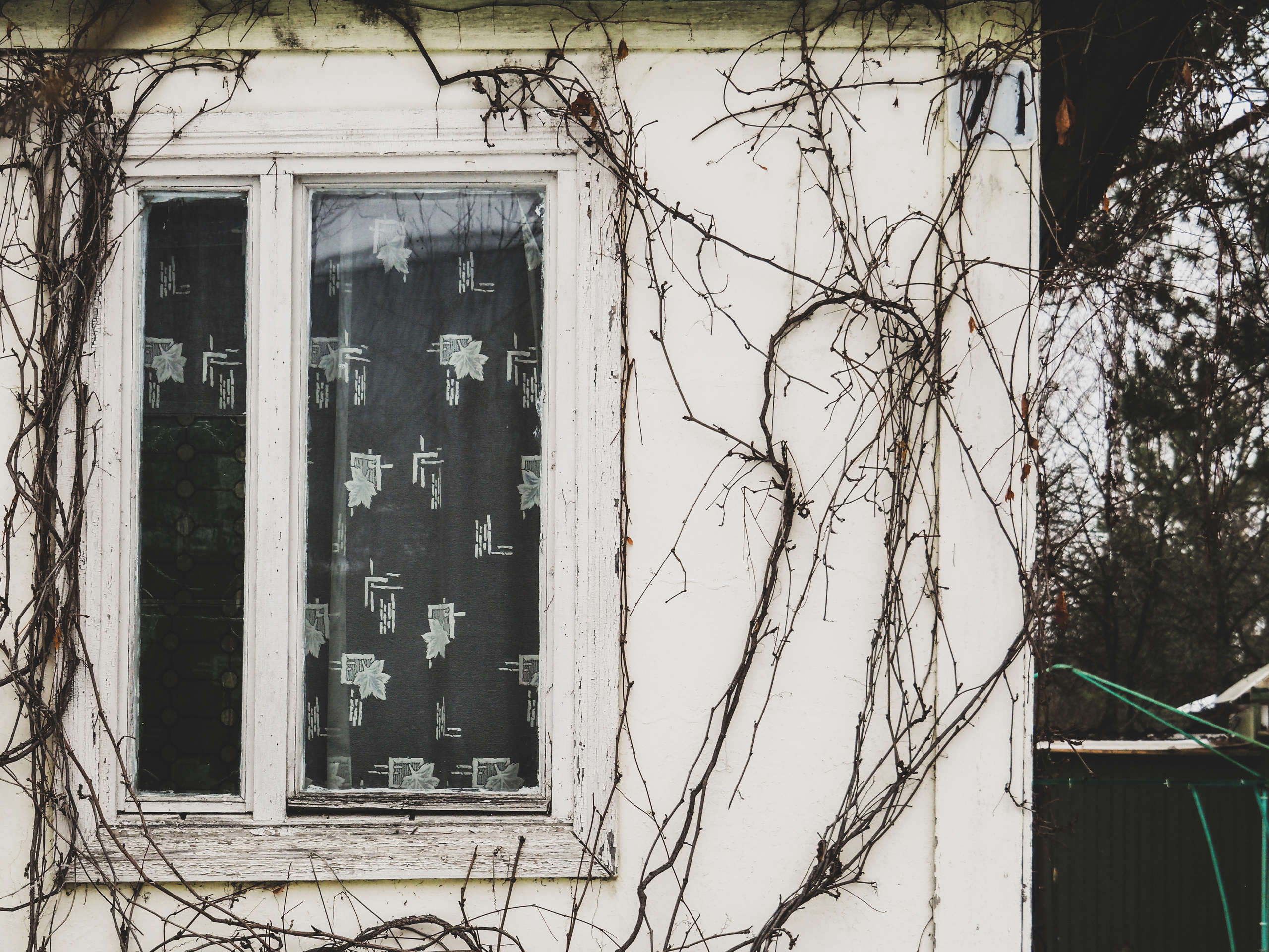 Not far from Moscow. Фотограф