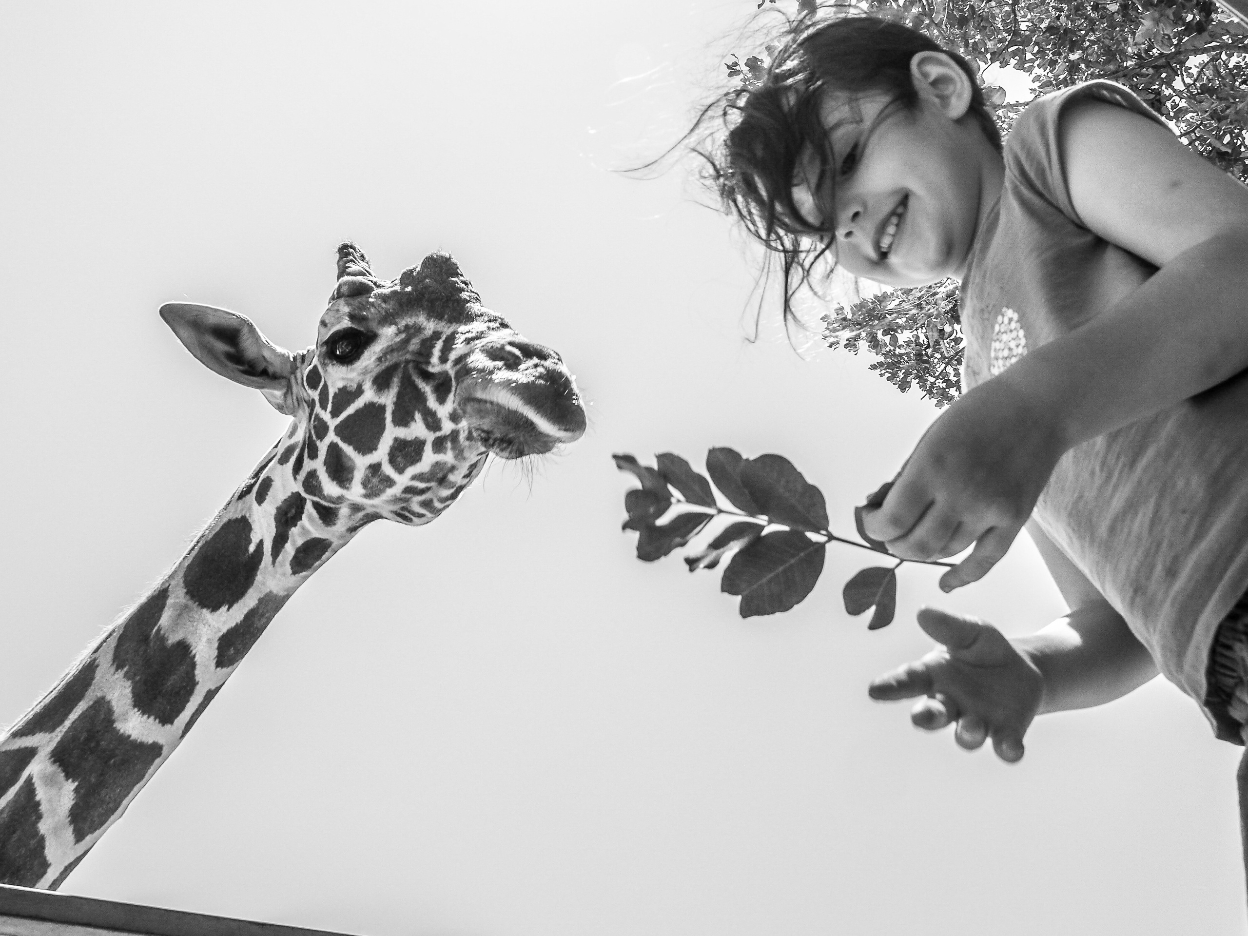 Black and white look. Фотограф