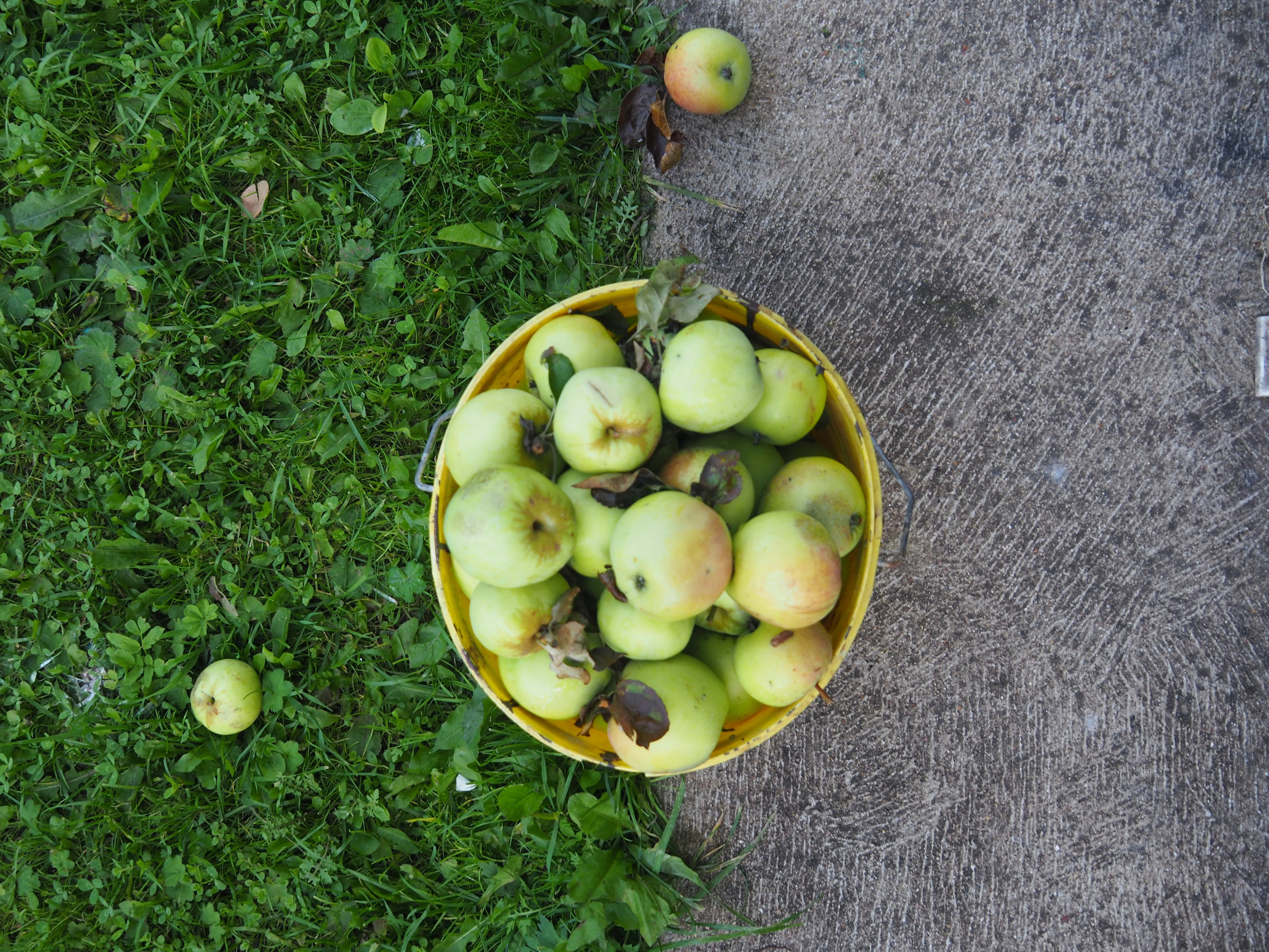 Not far from Moscow. Фотограф