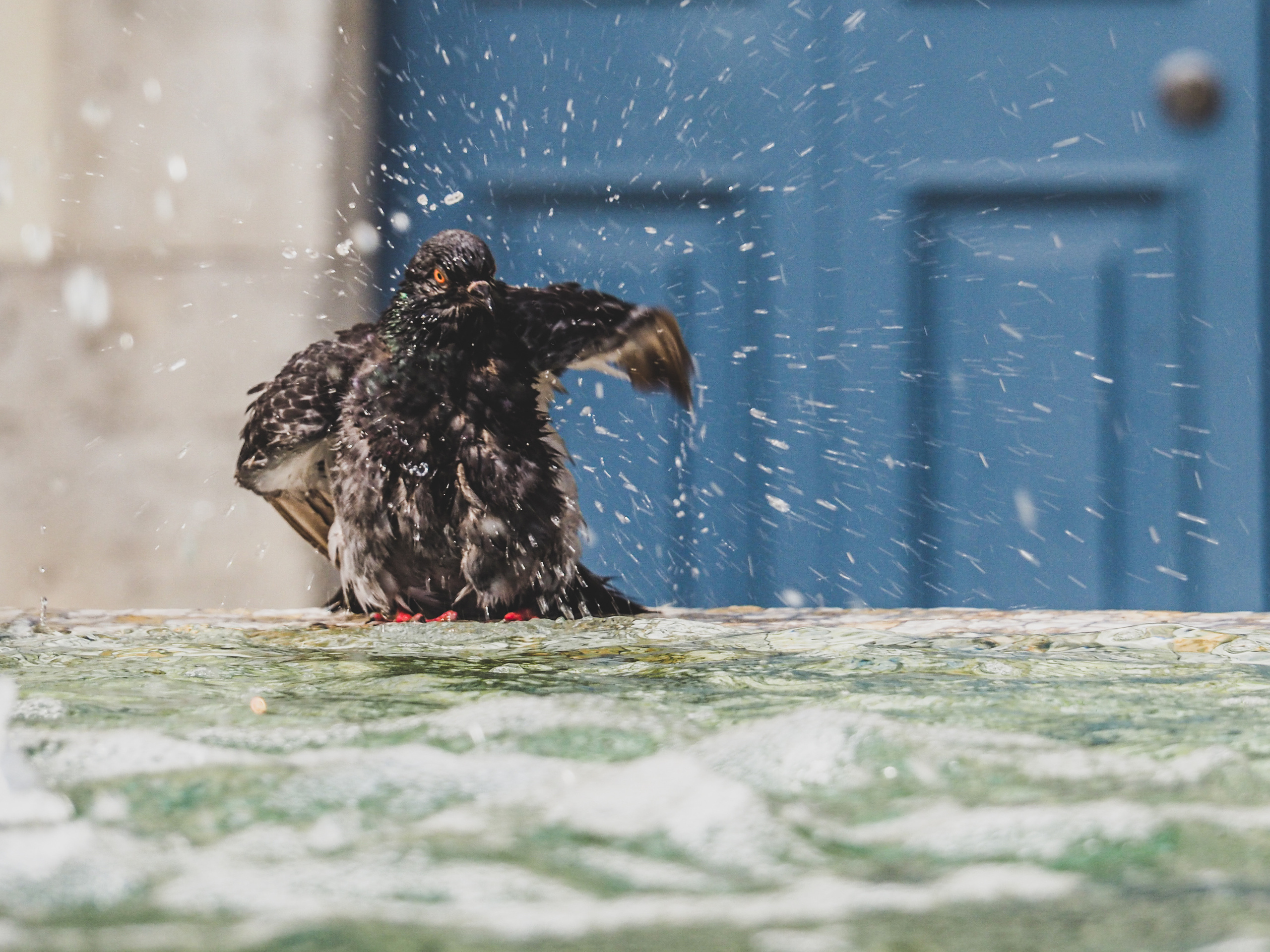 Limassol. City by the sea. Фотограф