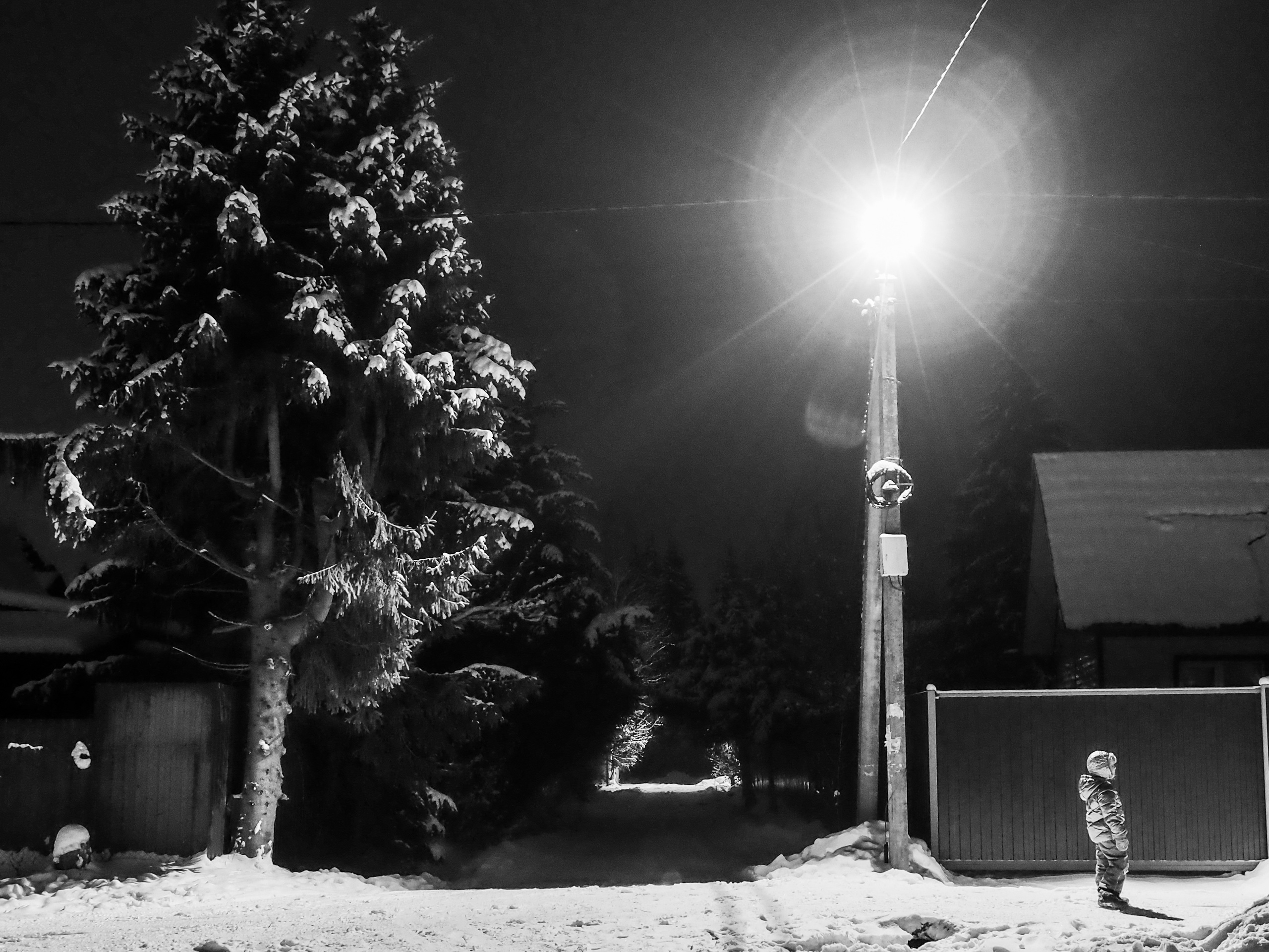 Black and white look. Фотограф