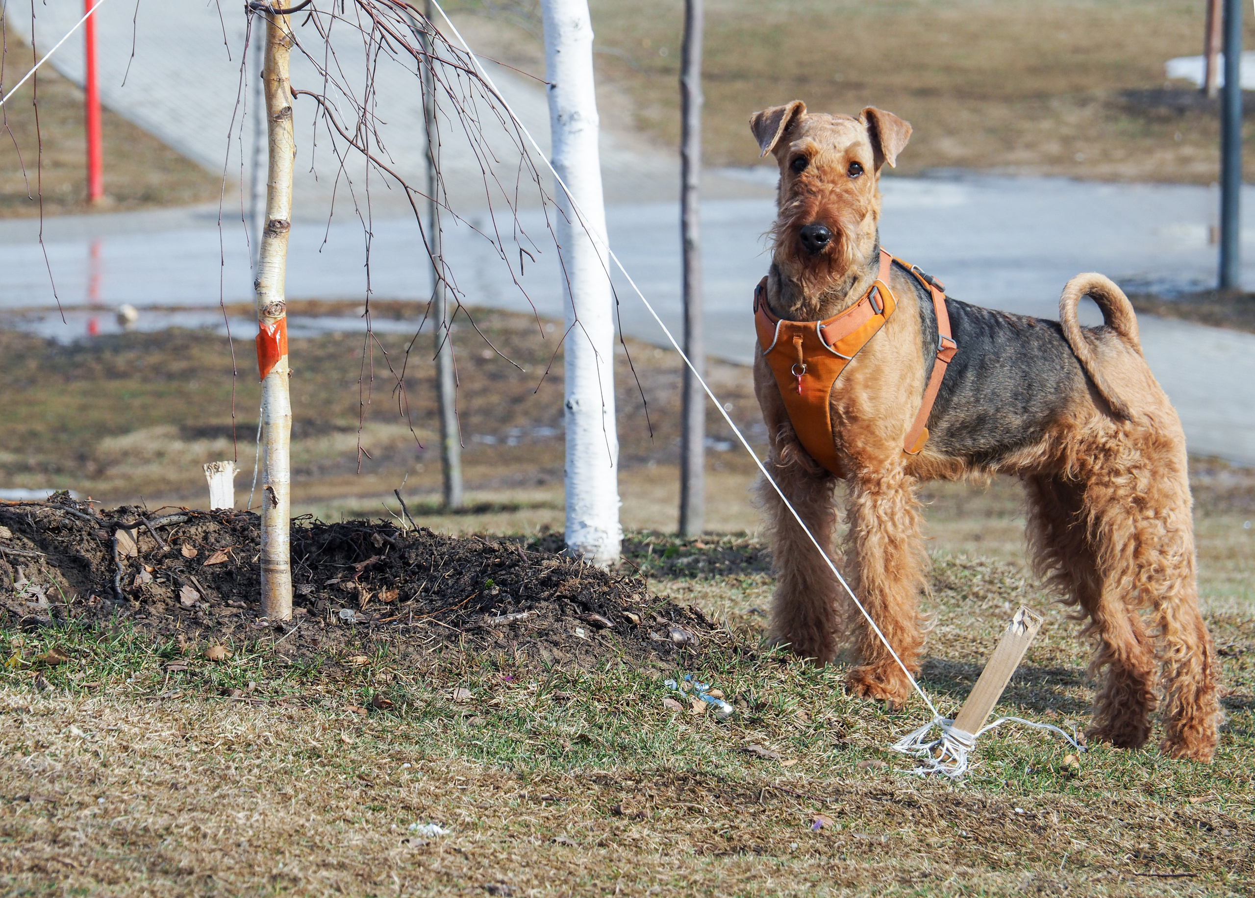 Moscow and its inhabitants. Фотограф