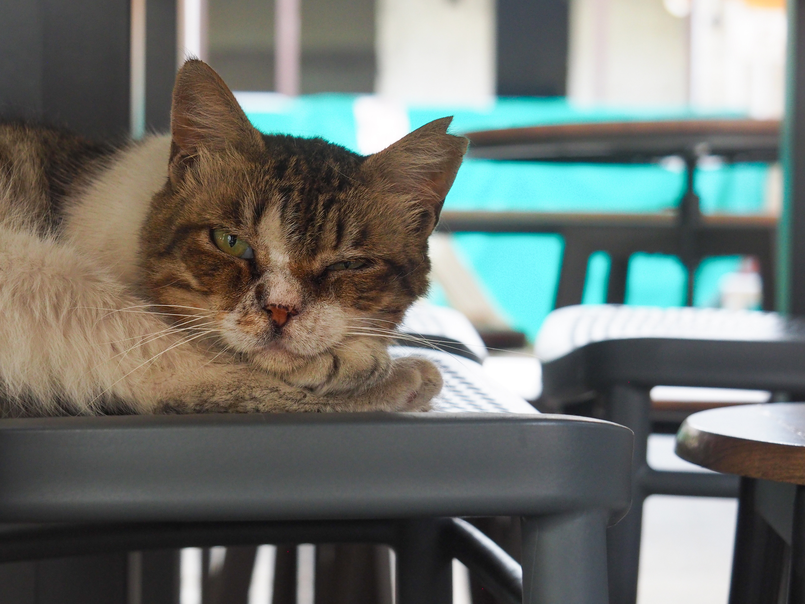 Limassol. City by the sea. Фотограф