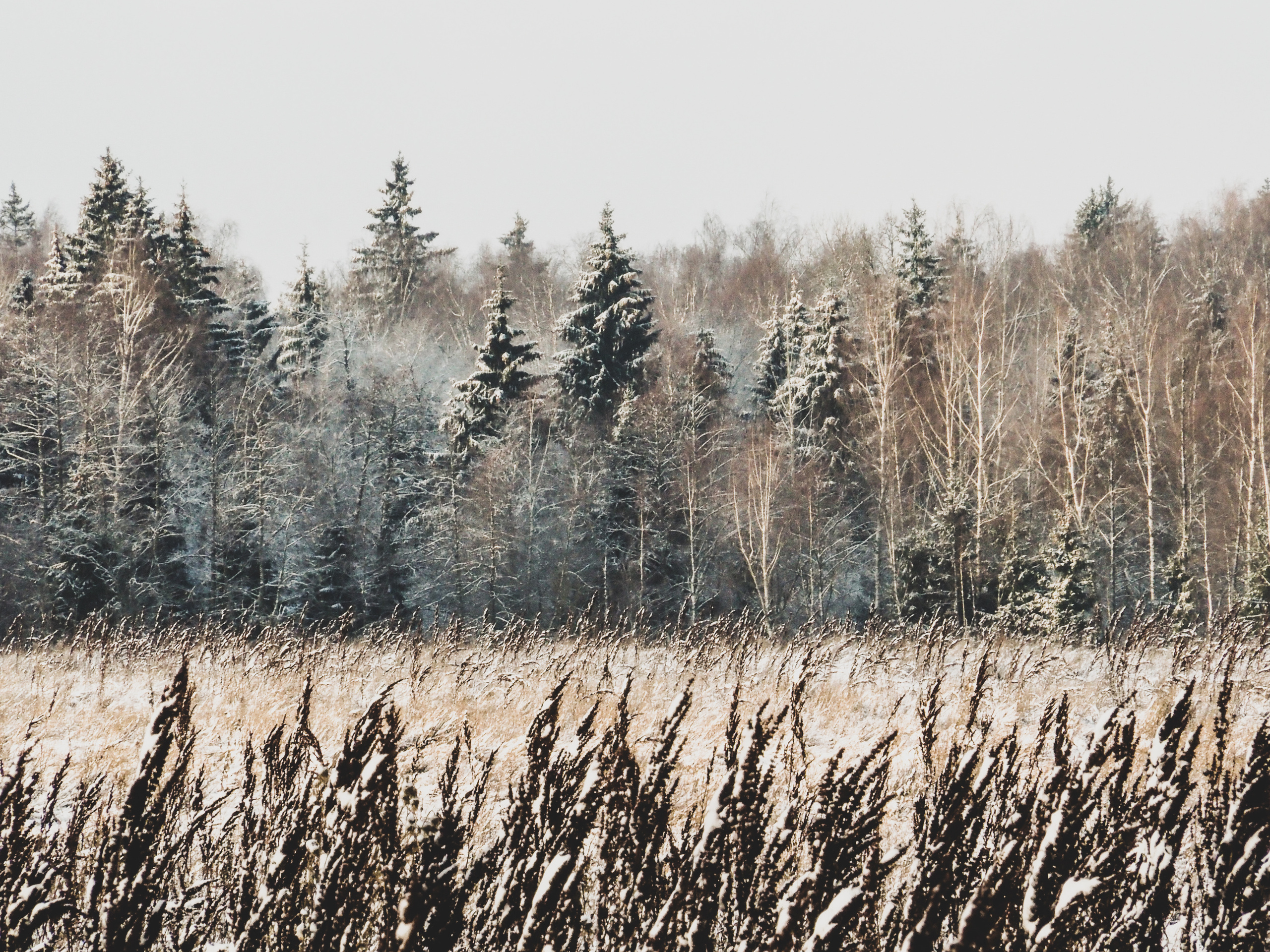 Not far from Moscow. Фотограф