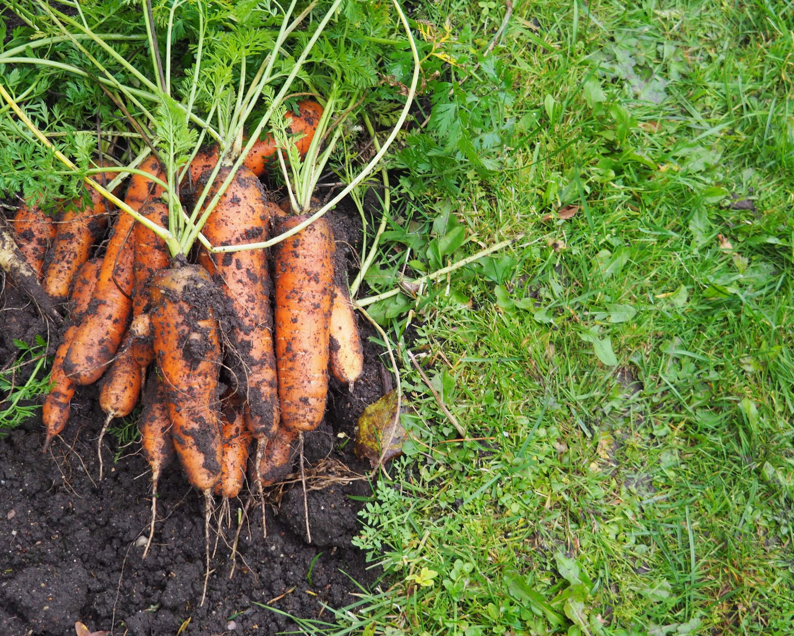 Not far from Moscow. Фотограф
