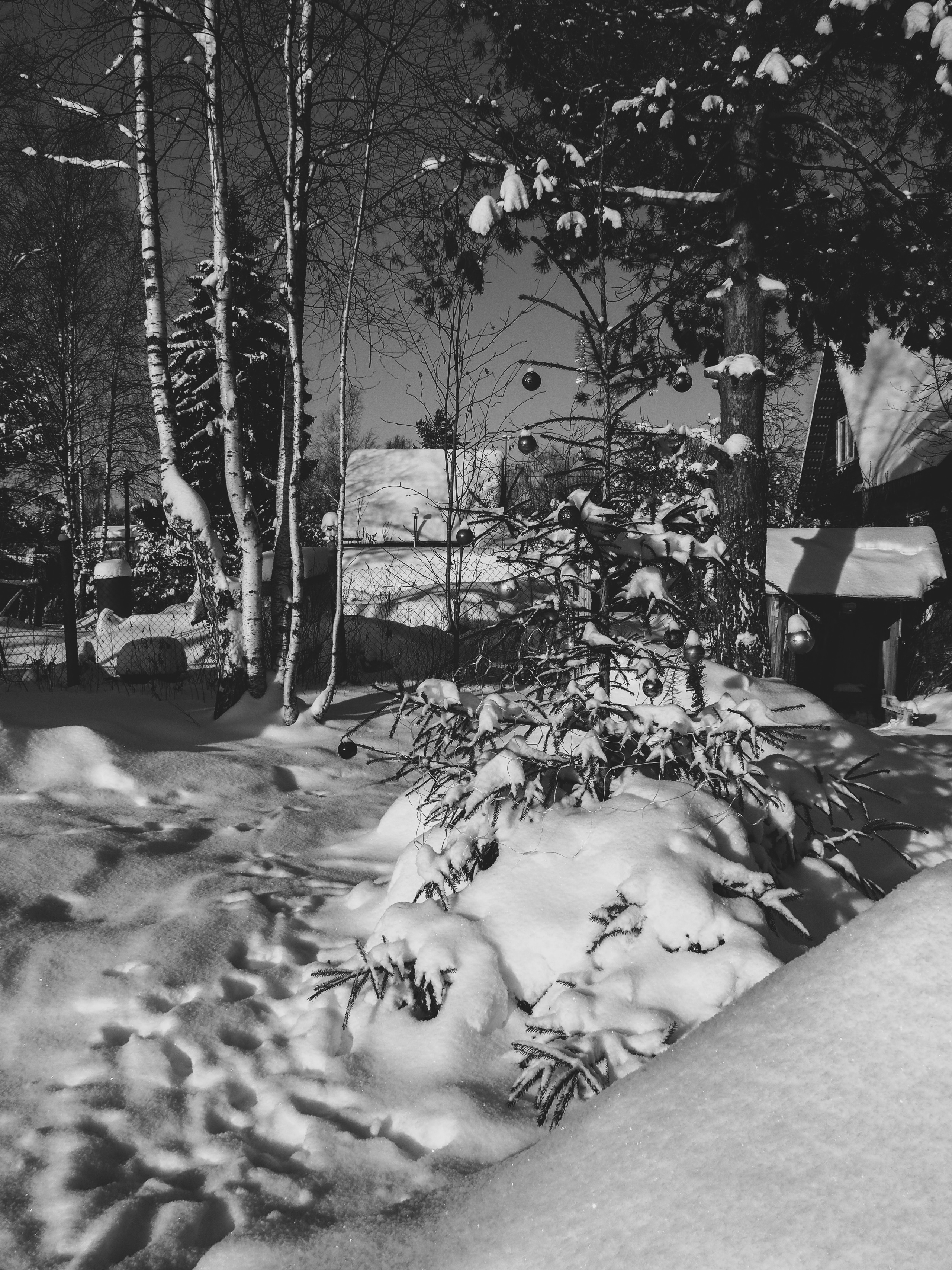 Black and white look. Фотограф