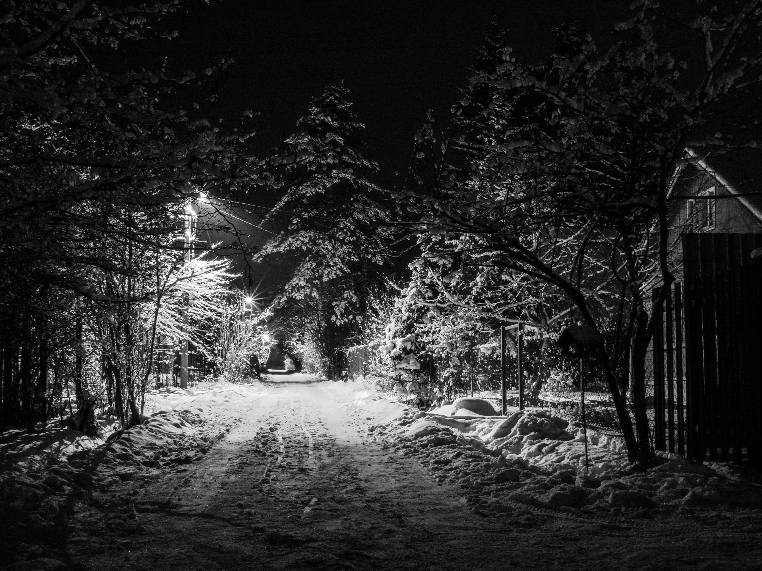 Black and white look. Фотограф