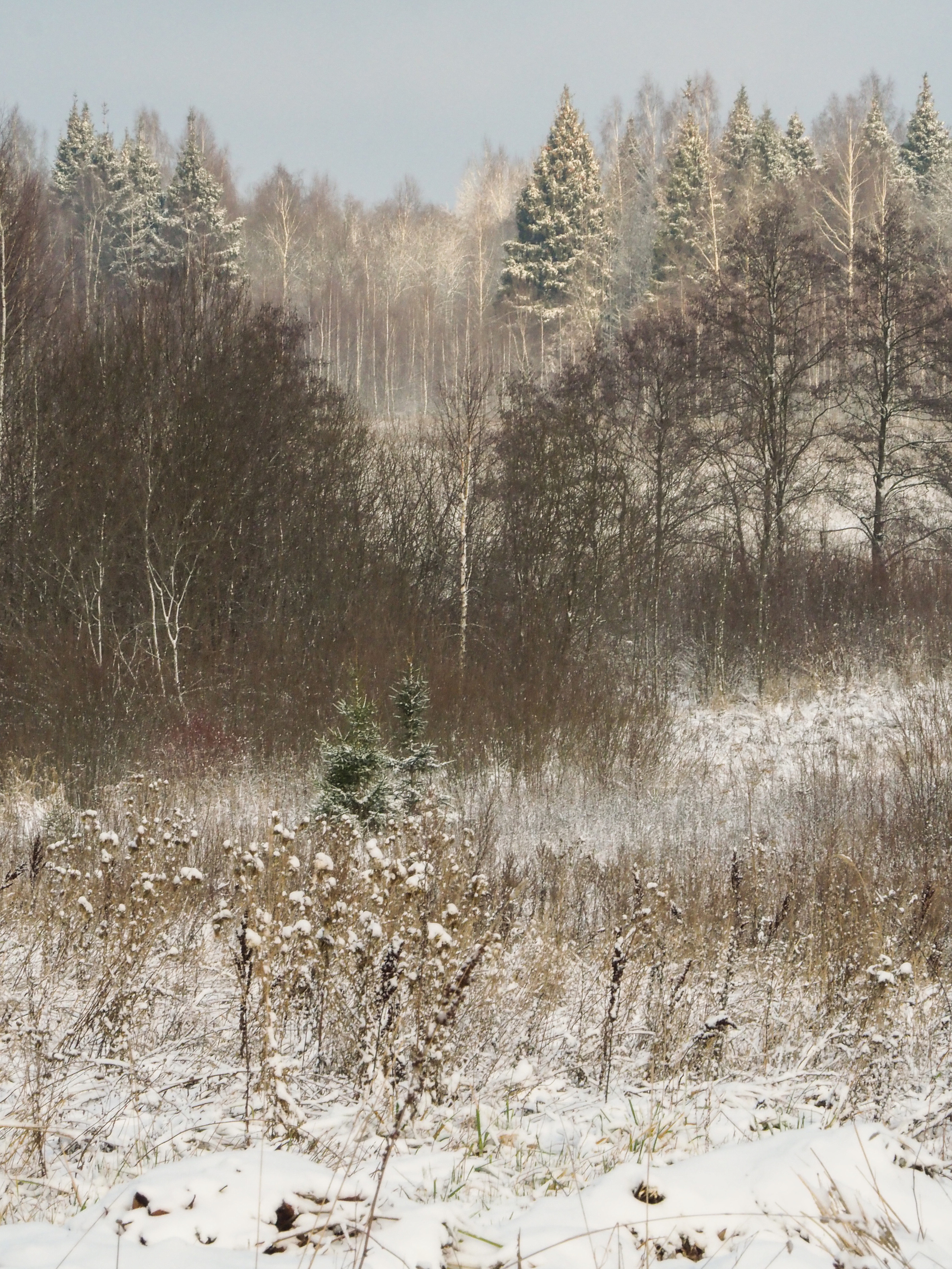 Not far from Moscow. Фотограф