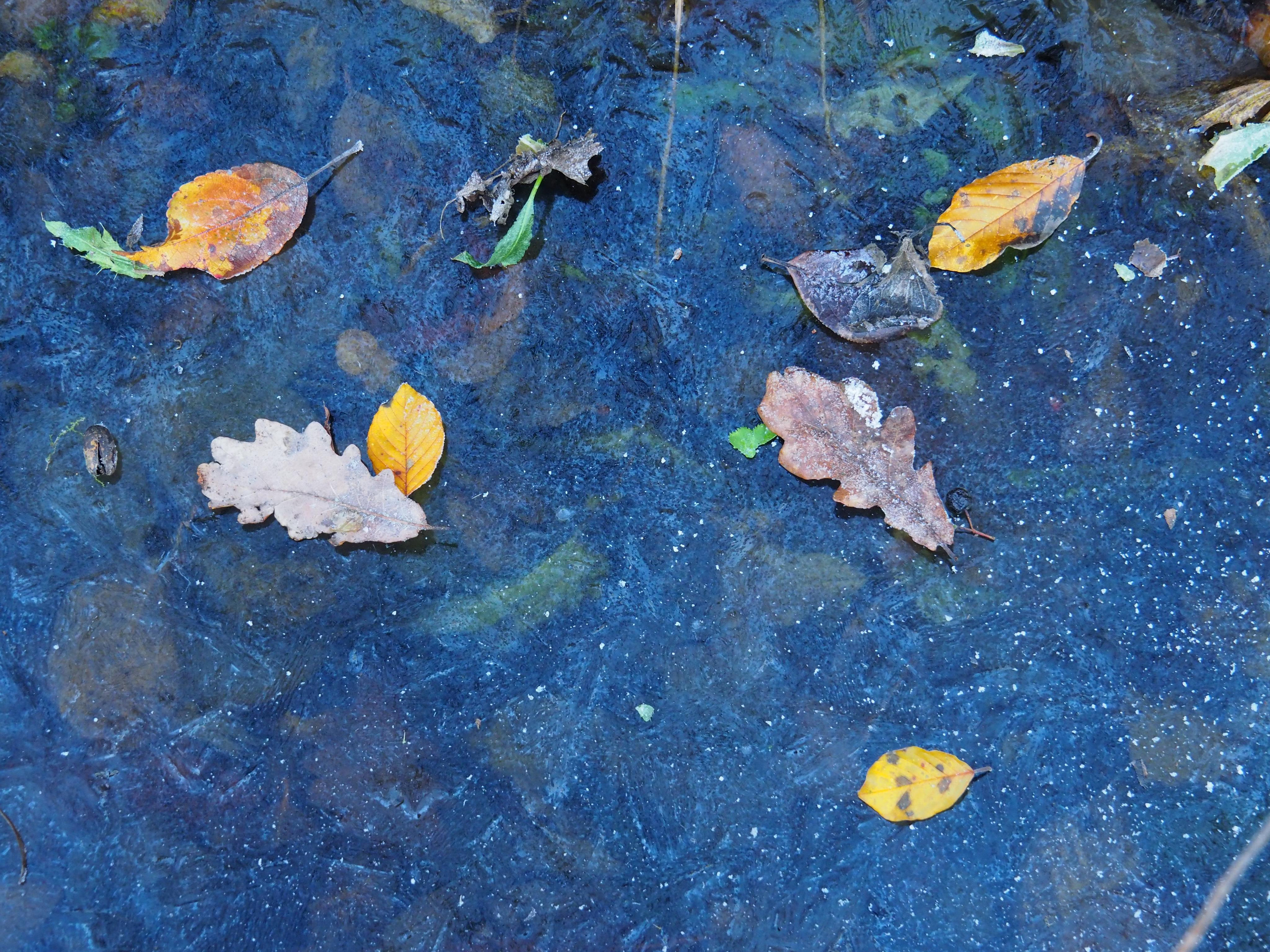 Not far from Moscow. Фотограф