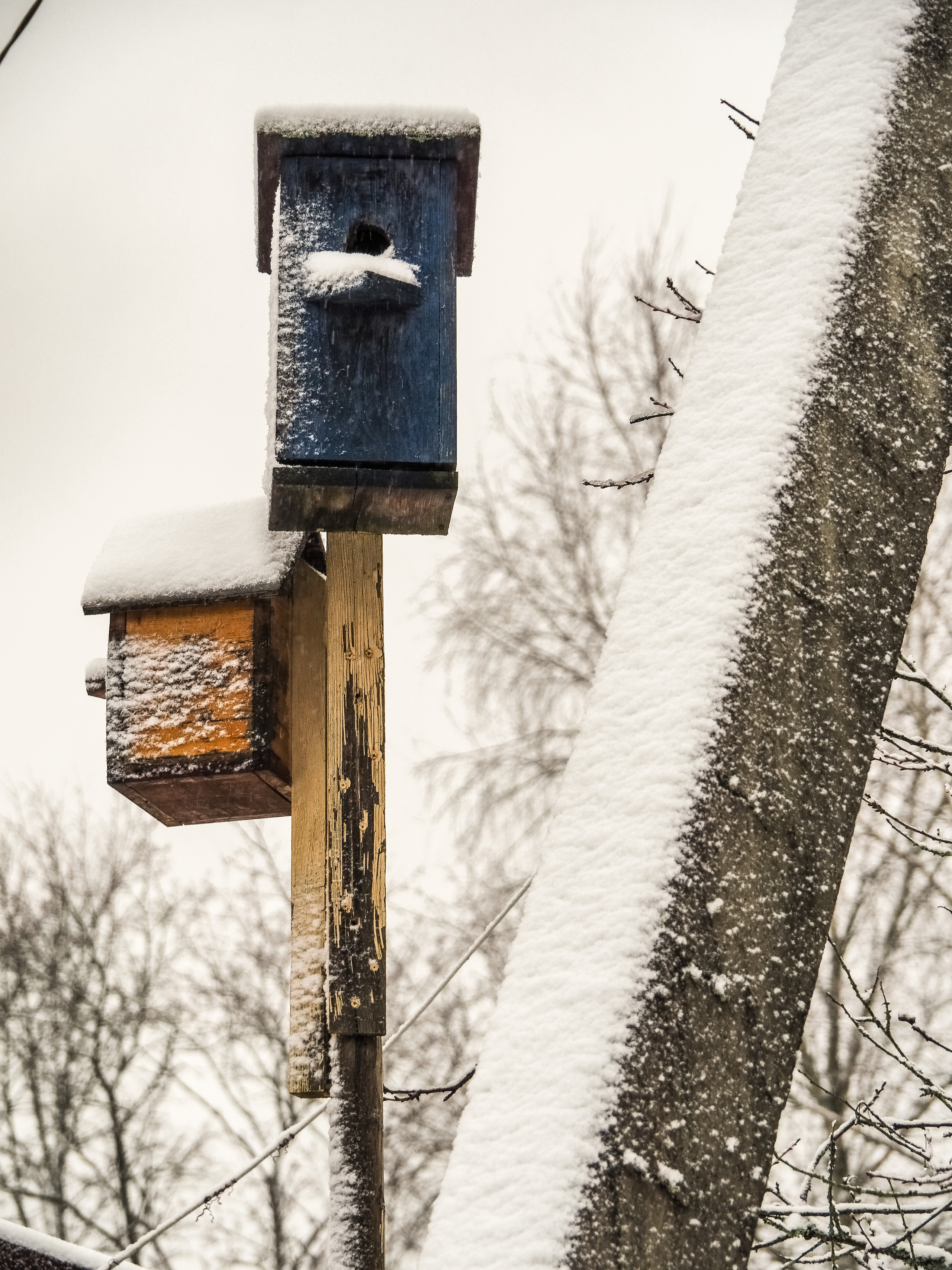 Not far from Moscow. Фотограф