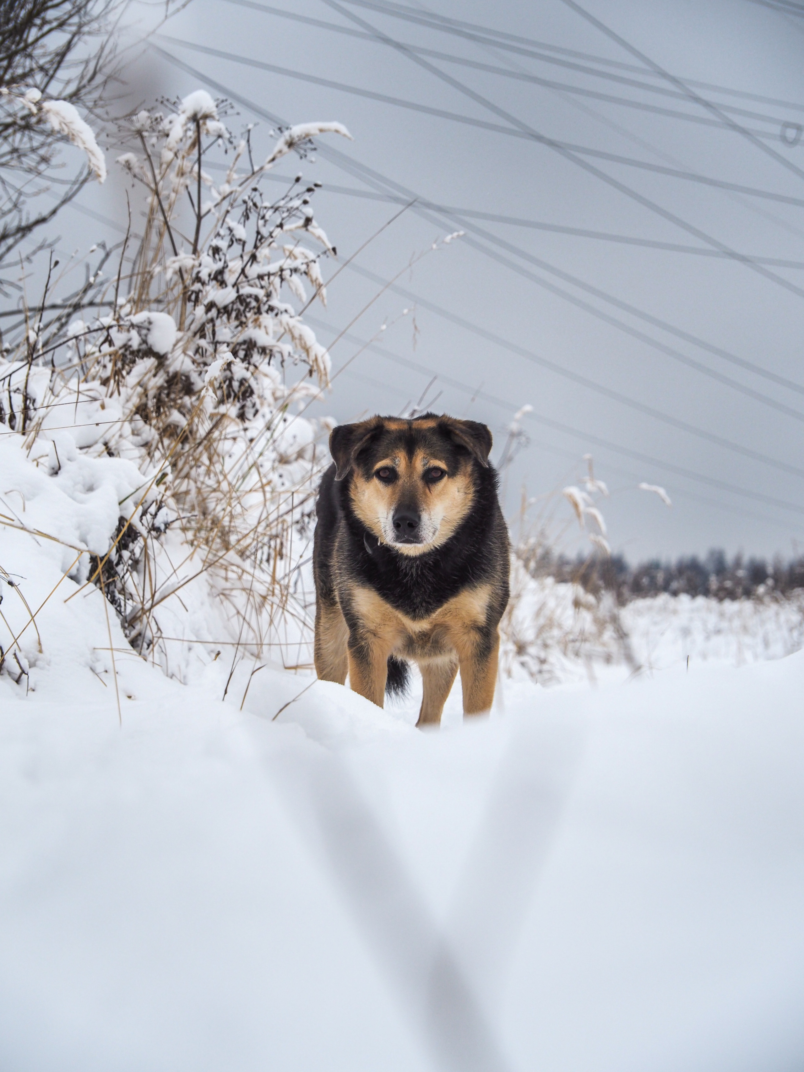 Not far from Moscow. Фотограф