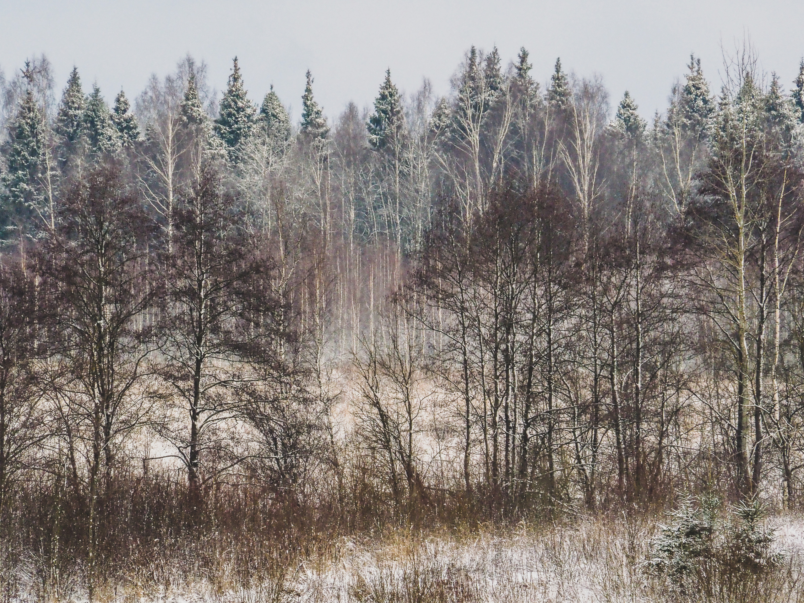 Not far from Moscow. Фотограф
