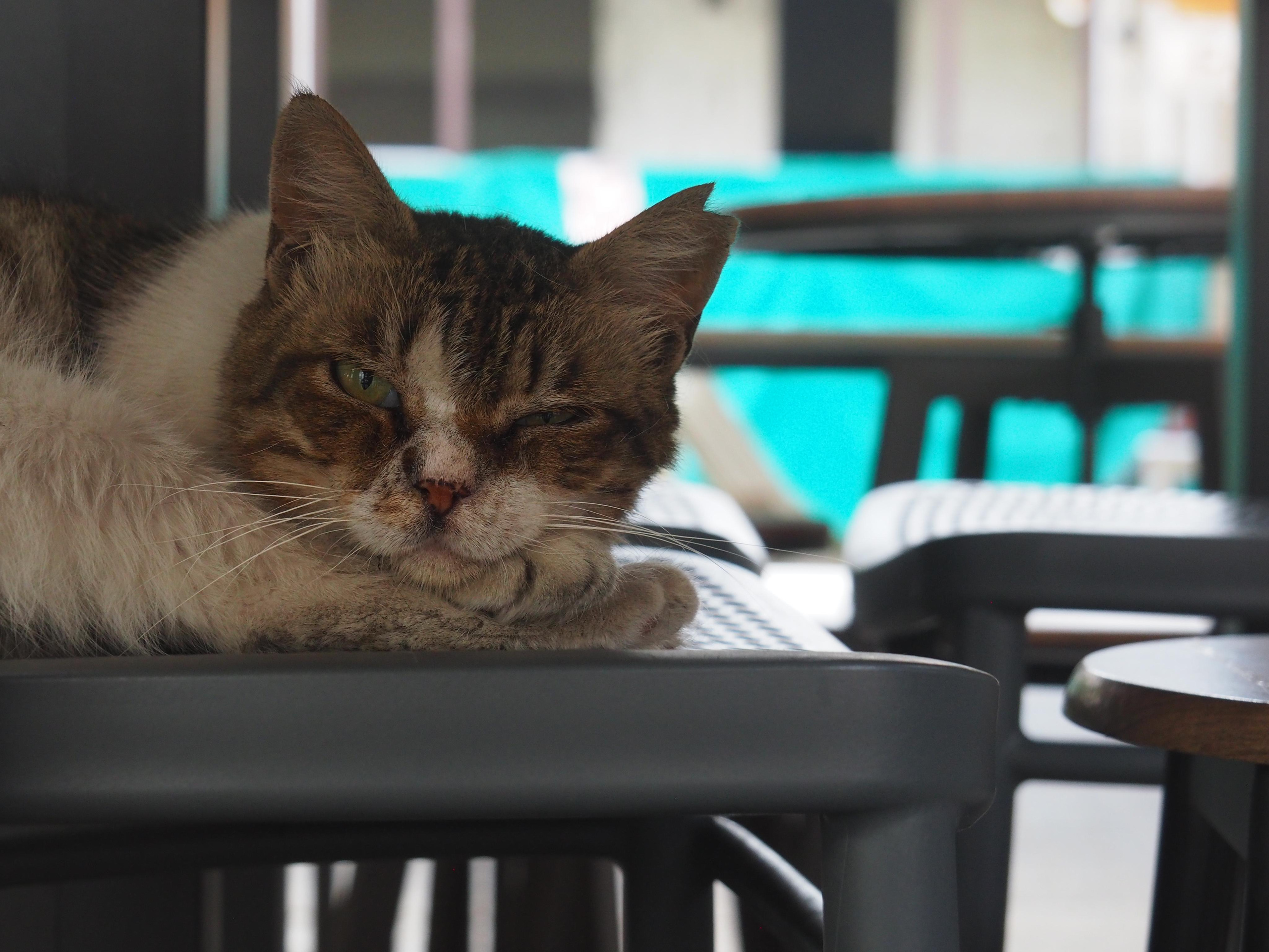 The world around me. Фотограф