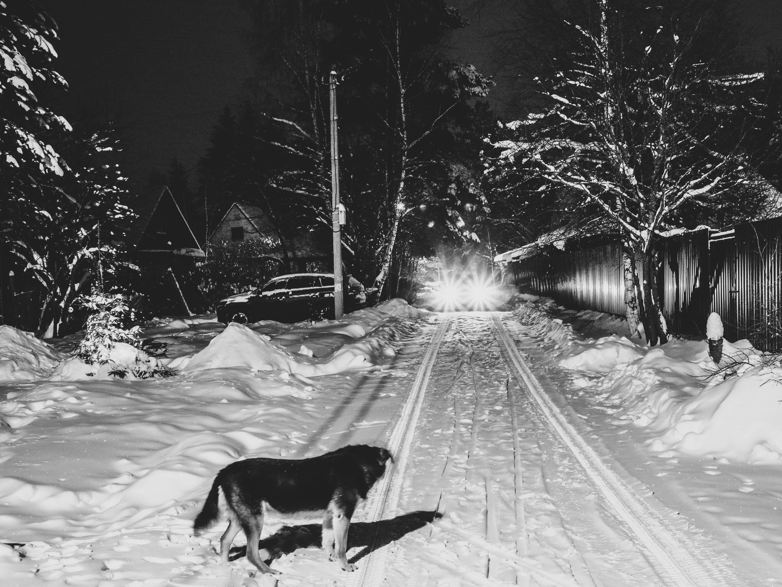 Black and white look. Фотограф