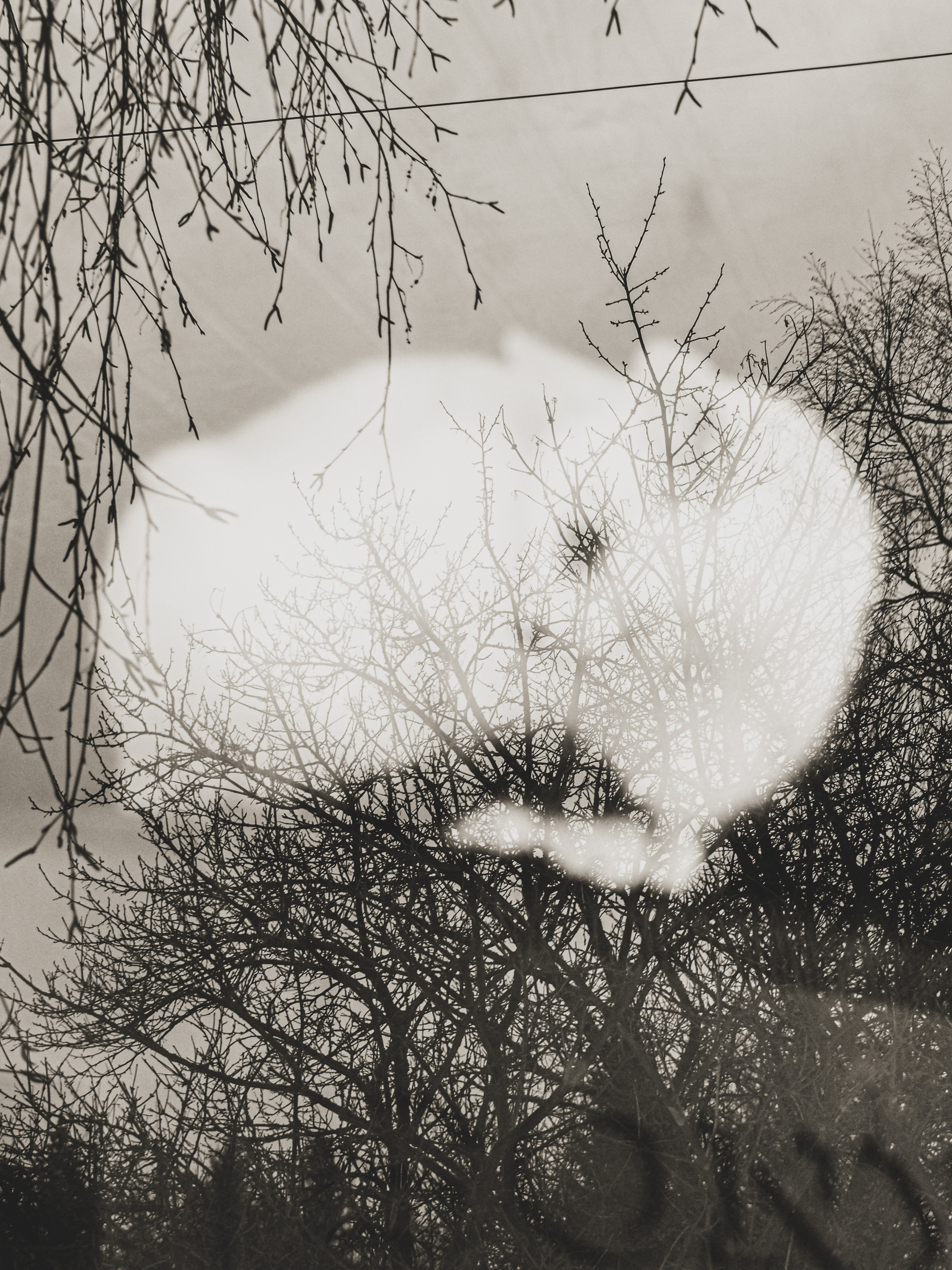 Not far from Moscow. Фотограф