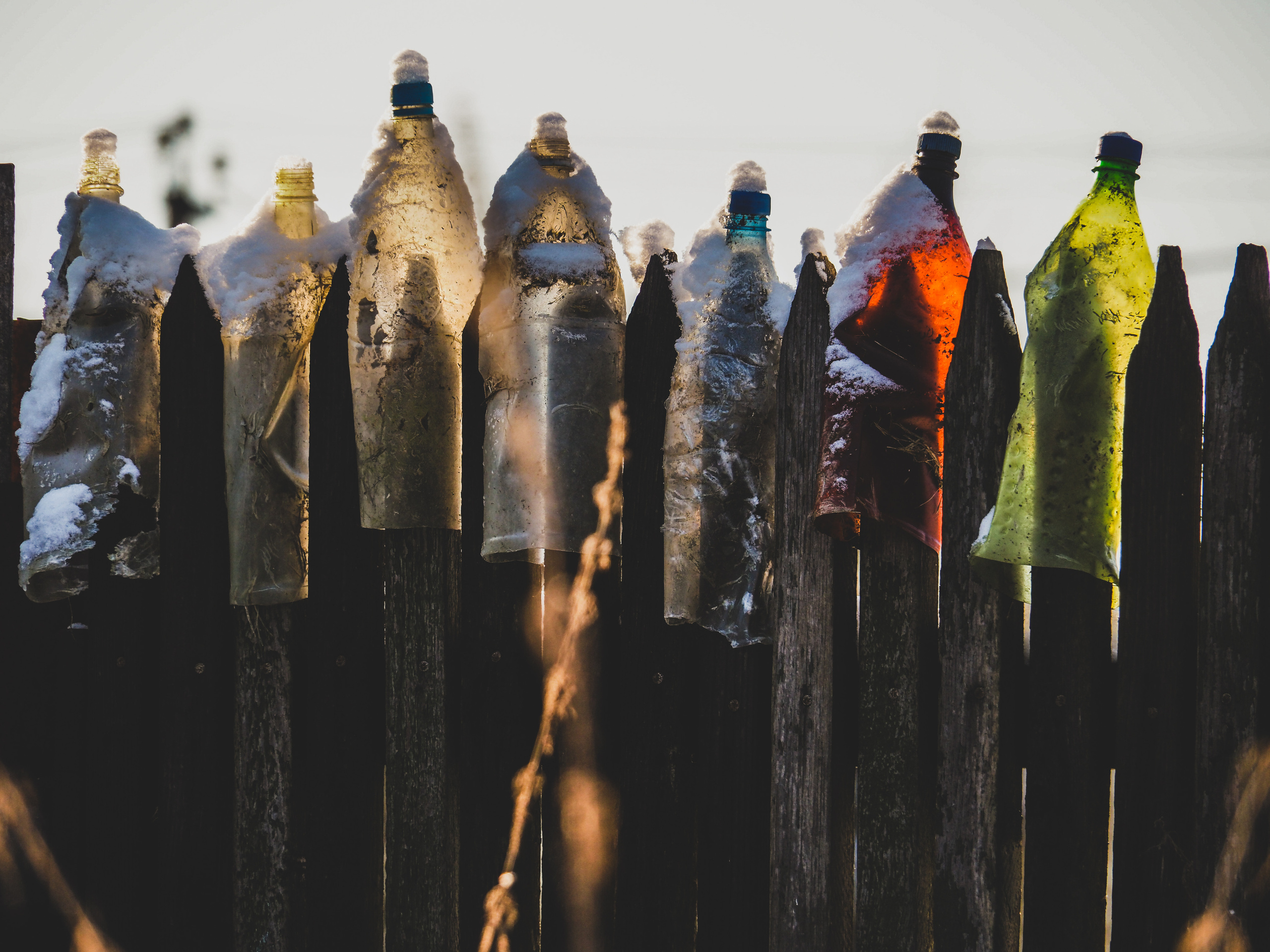 Not far from Moscow. Фотограф