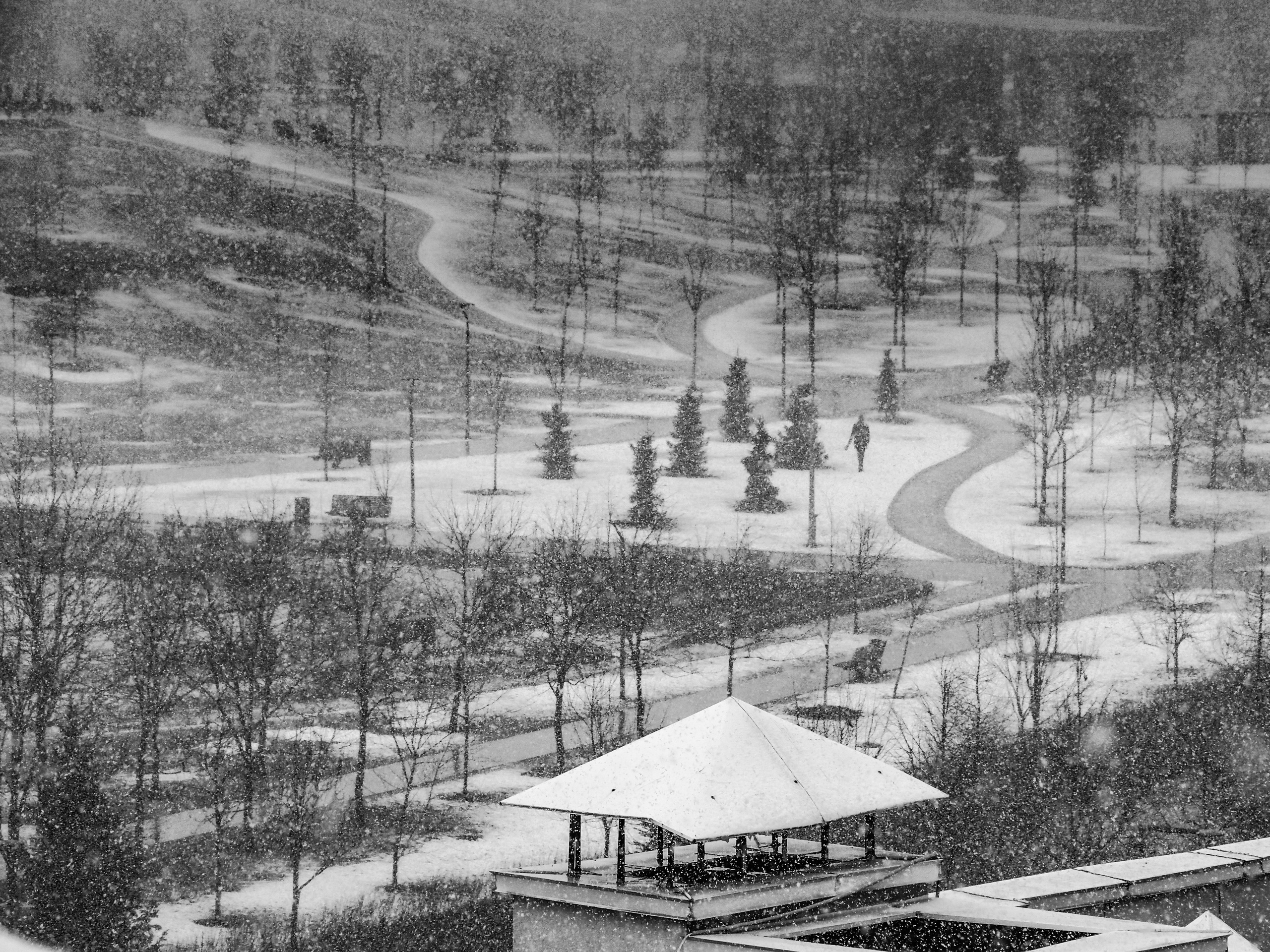 Black and white look. Фотограф