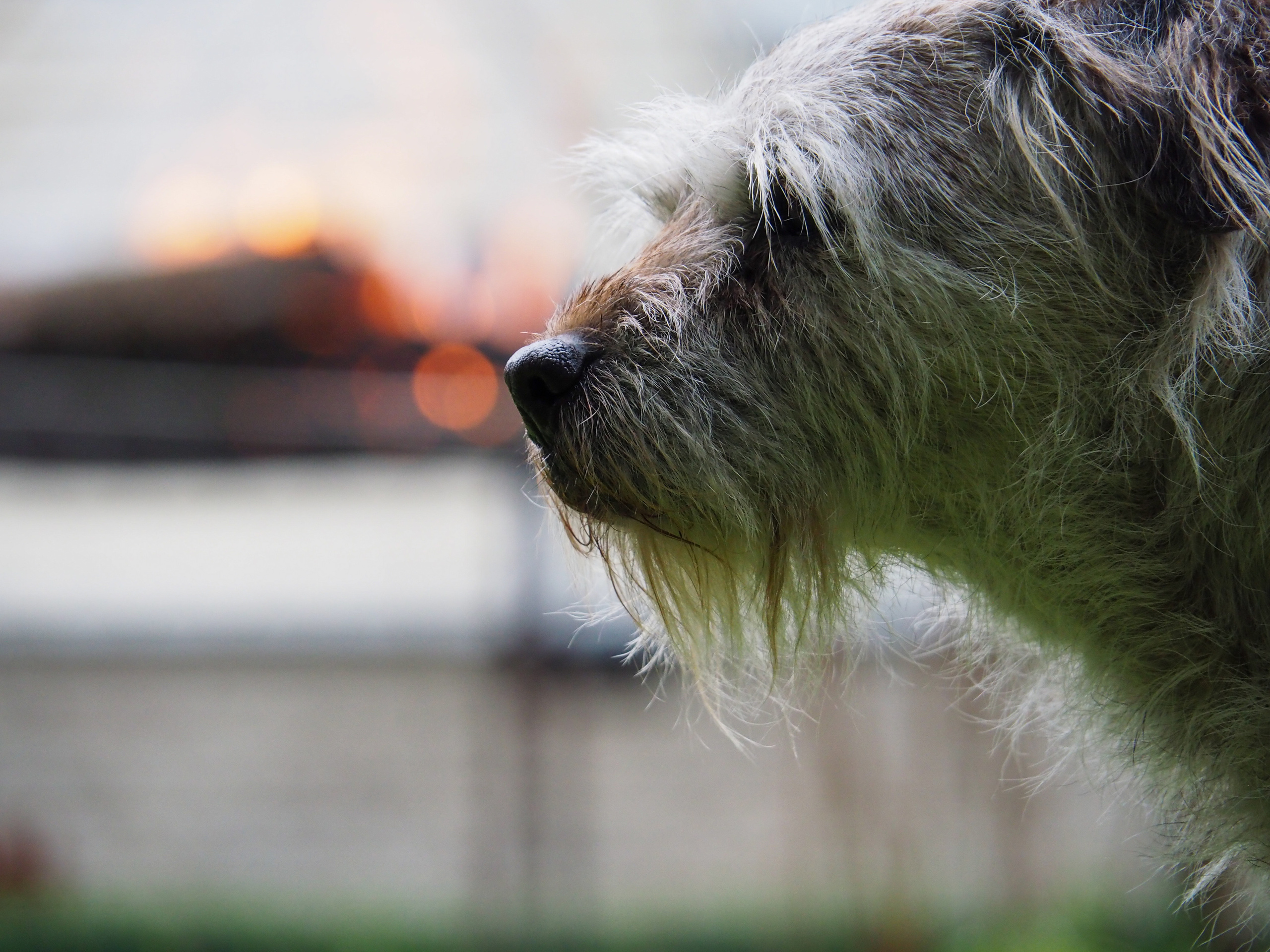 Not far from Moscow. Фотограф