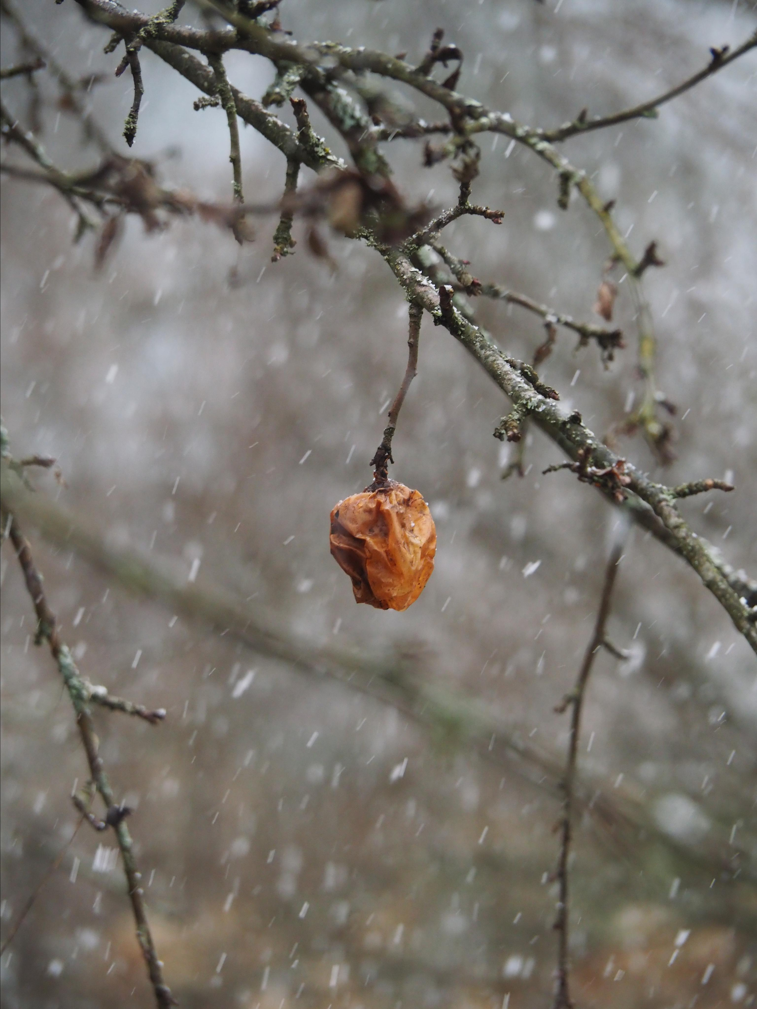 Not far from Moscow. Фотограф