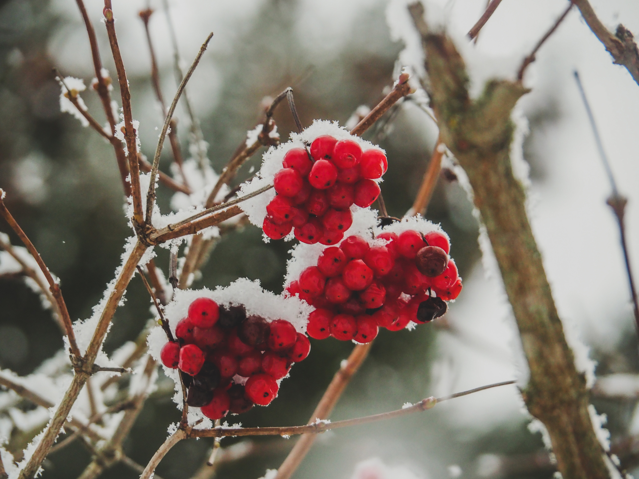 Not far from Moscow. Фотограф