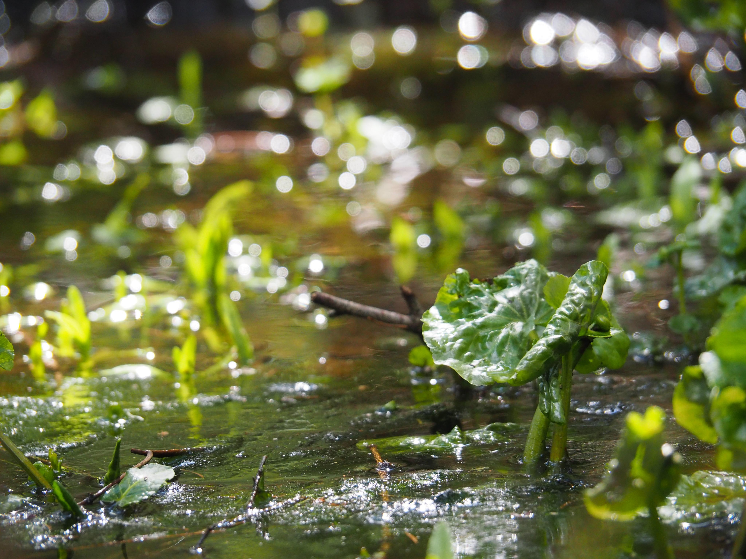 Not far from Moscow. Фотограф