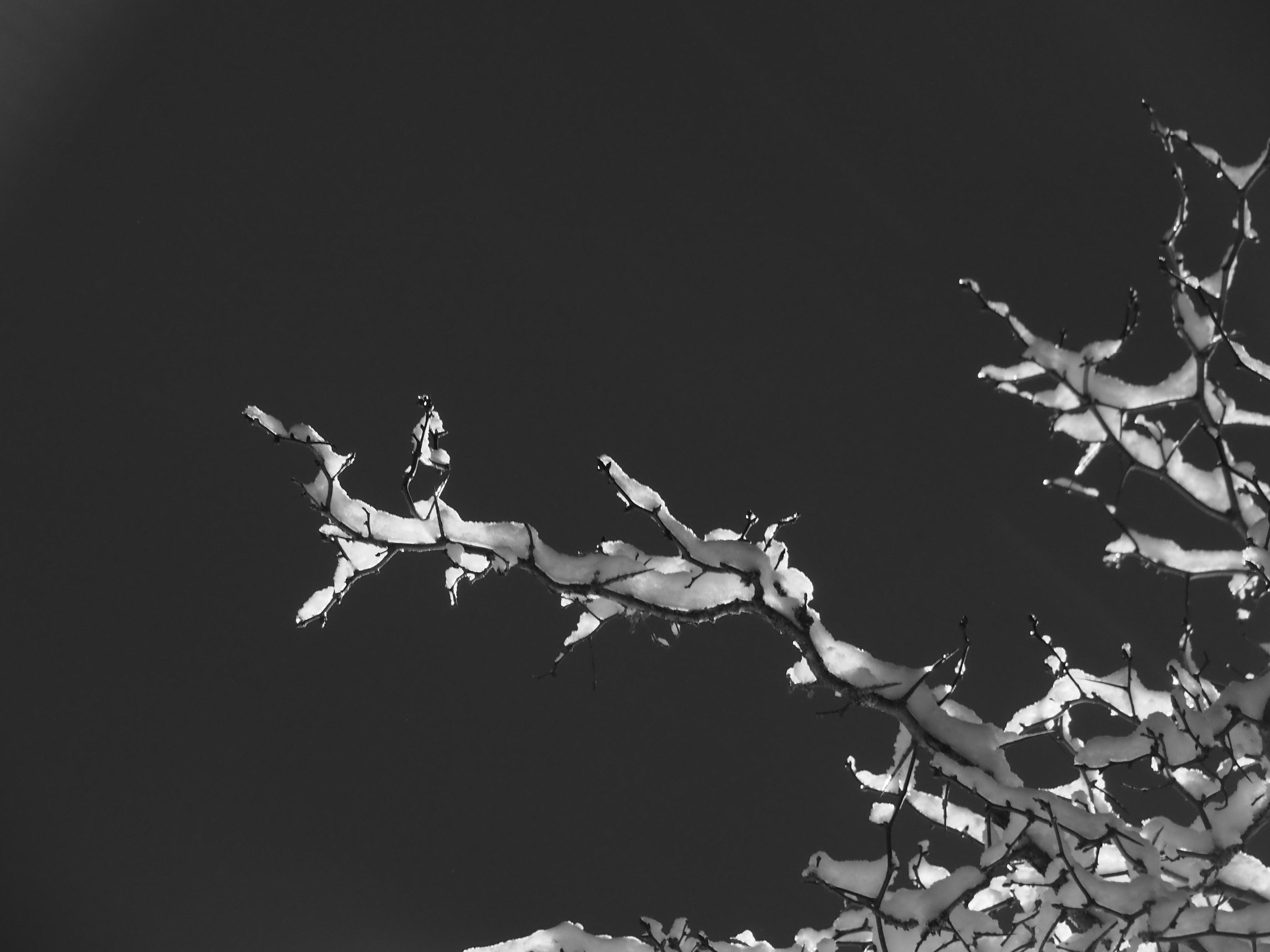 Black and white look. Фотограф